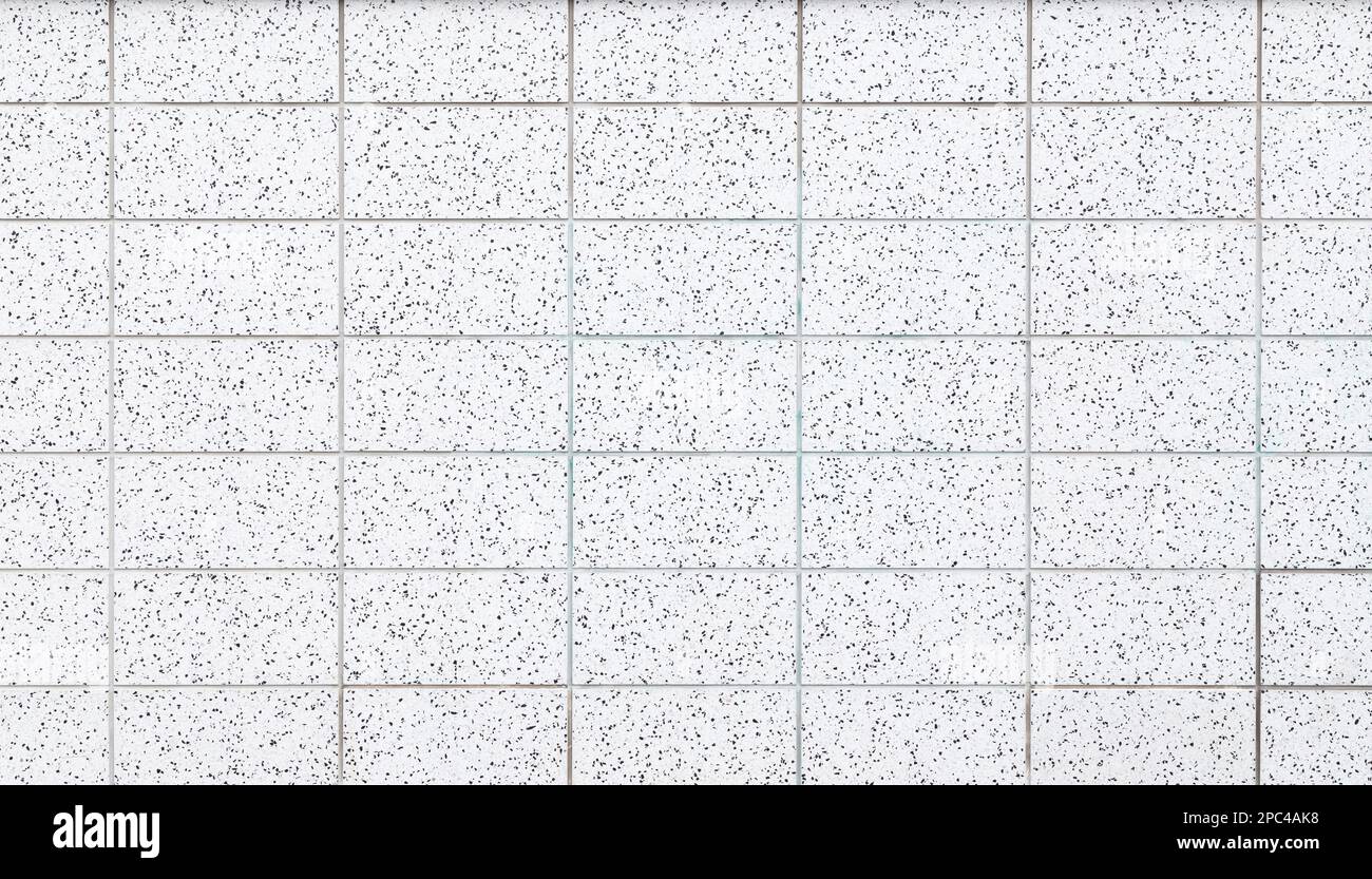 Mur ou plancher fait de carreaux de terrazzo blanc avec des mouchetures noires, vue de dessus ou de face. Arrière-plan abstrait plein cadre texturé. Copier l'espace. Banque D'Images