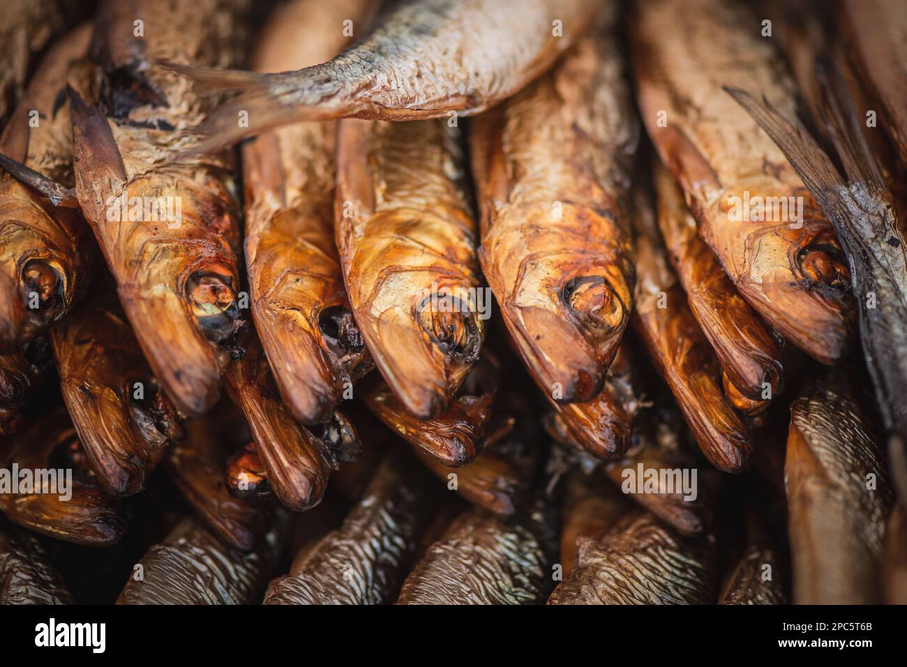 Harengs séchés fumés de l'Atlantique ou de la Baltique, Clupea harengus, un hareng de la famille des Clupeidae, dans un marché alimentaire de rue à Vilnius, Lituanie, Europe Banque D'Images