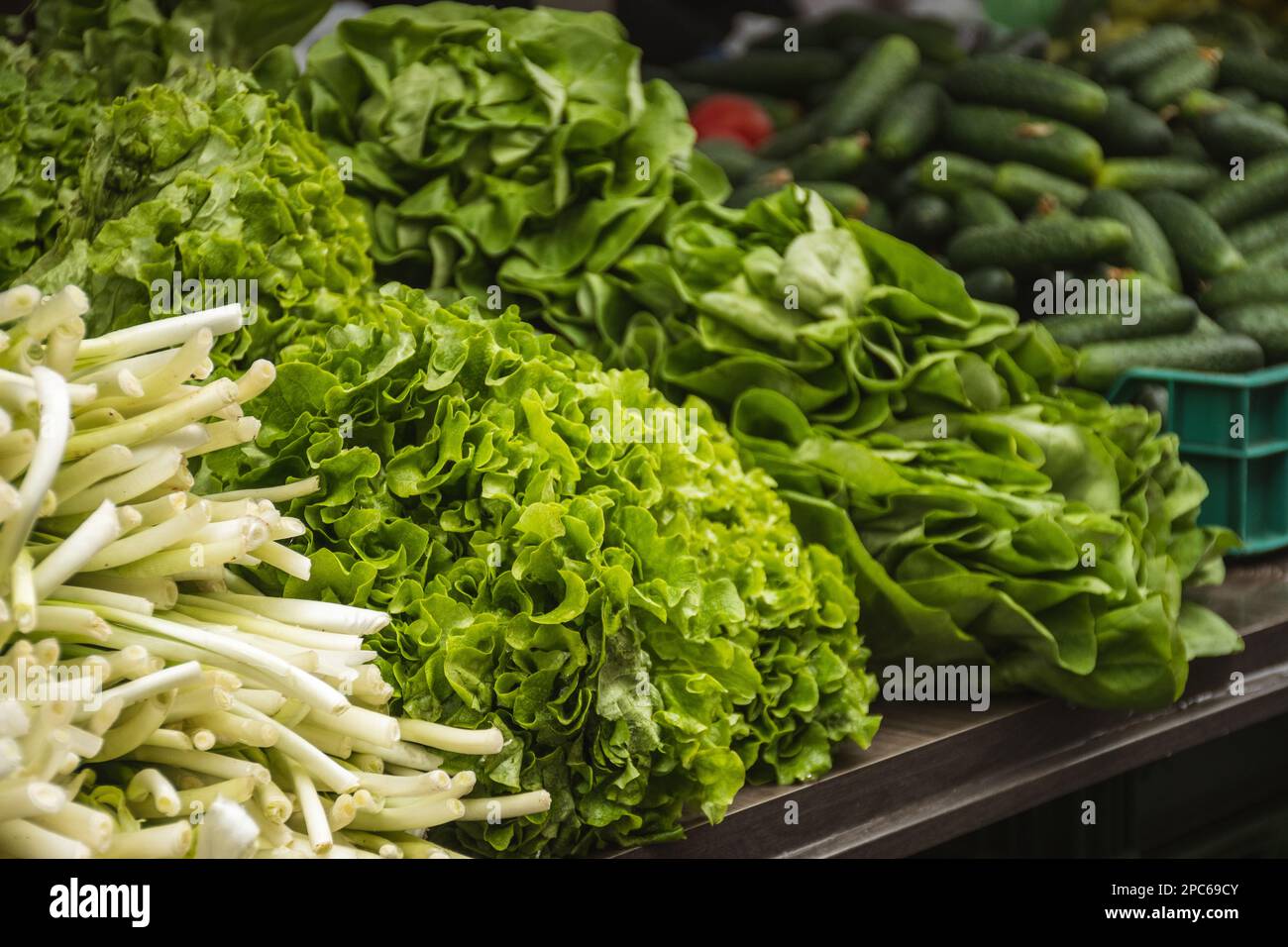 Vente de différents types de salades vertes et de lettuces dans un marché de la nourriture de rue à Vilnius, Lituanie, Europe, gros plan Banque D'Images