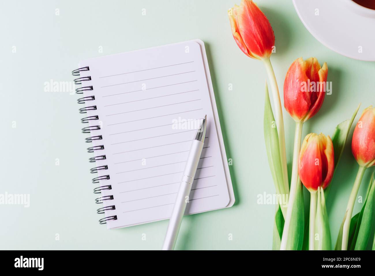 Bloc-notes en spirale, stylo et fleurs de tulipe rouges sur fond vert clair. Vue de dessus, plan d'agencement, espace de copie. Banque D'Images