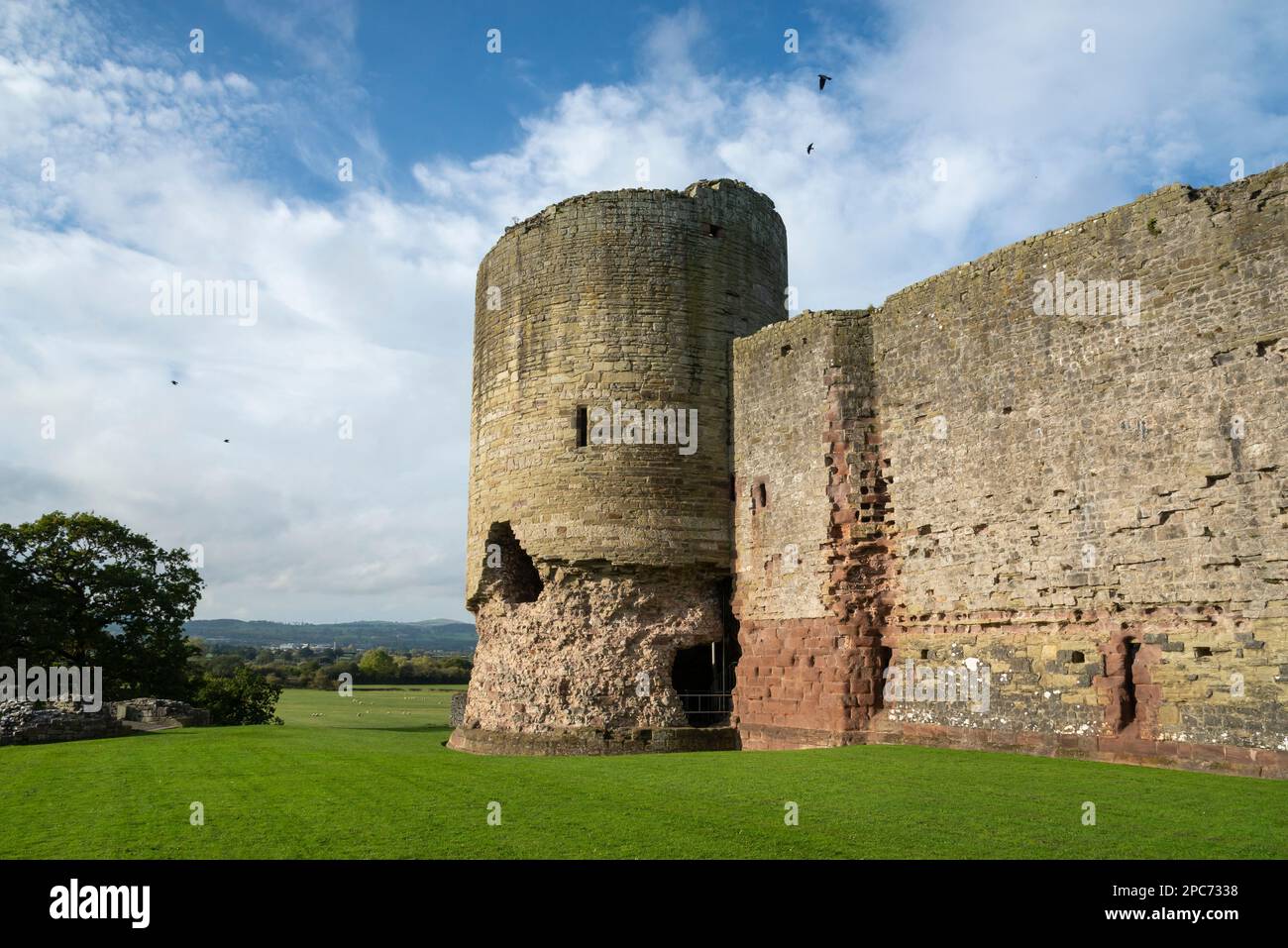 La Tour Sud au château de Rhuddlan, Denbighshire, au nord du pays de Galles. Banque D'Images