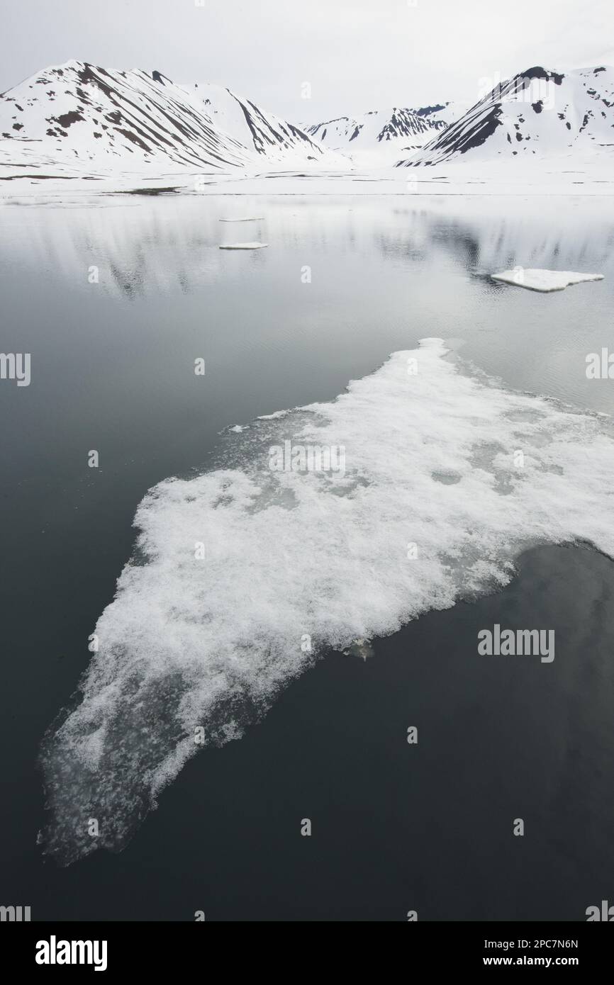 Dérive de glace près de la côte, Woodfjord, Spitzbergen, Svalbard Banque D'Images