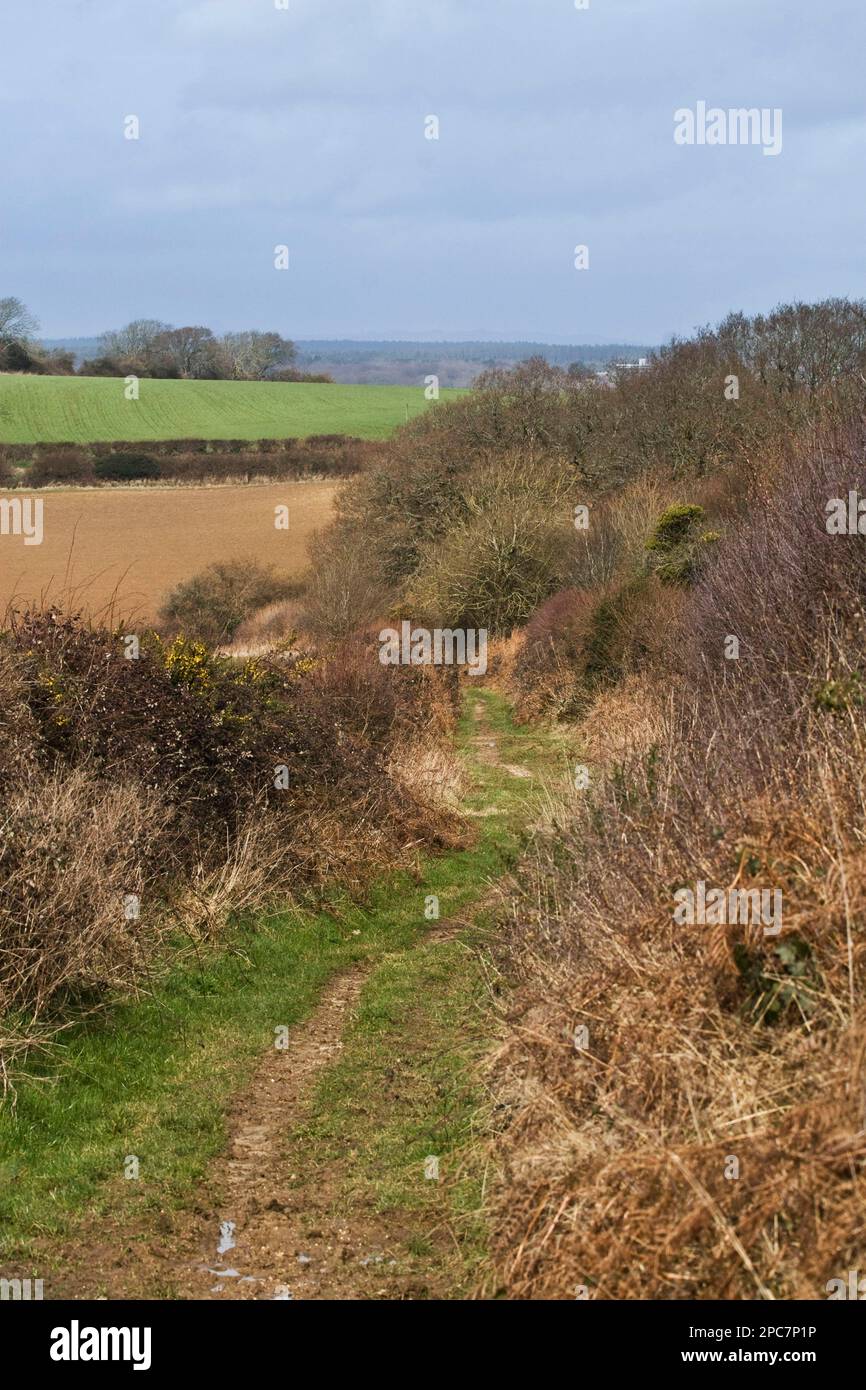 Sentier pédestre dans la terre de printemps à travers les terres agricoles et les bois, Dorset, Angleterre, Marsh Banque D'Images