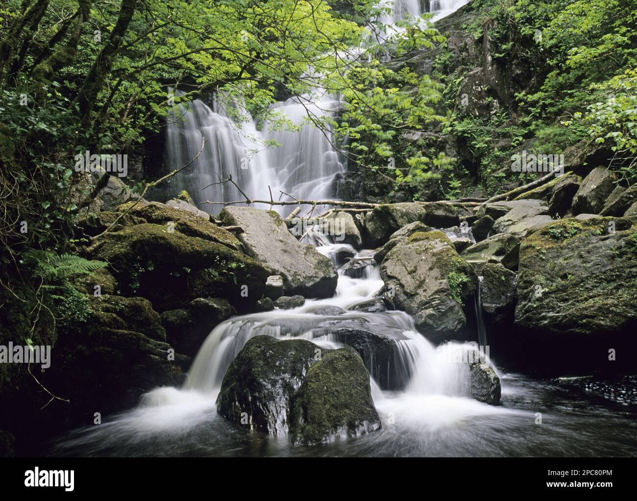 Cascade et Cascades, chute d'eau de Torc, rivière Owengarriff, Killarney N. P. Comté Kerry, Irlande, source, Europe Banque D'Images