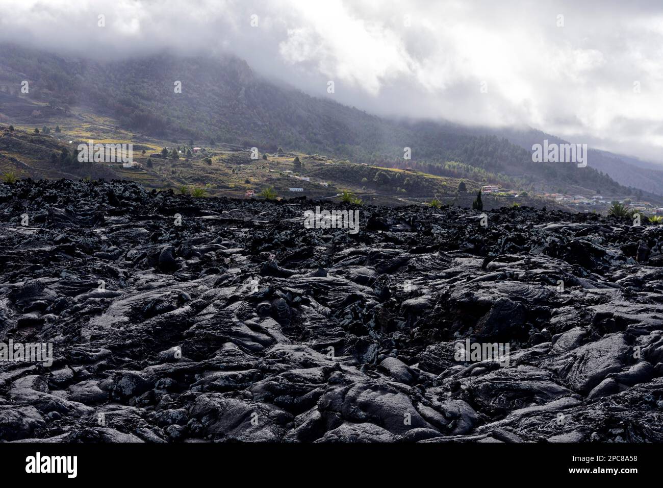 Champ de lave, Las Manchas, la Palma, Espagne, Europe Banque D'Images