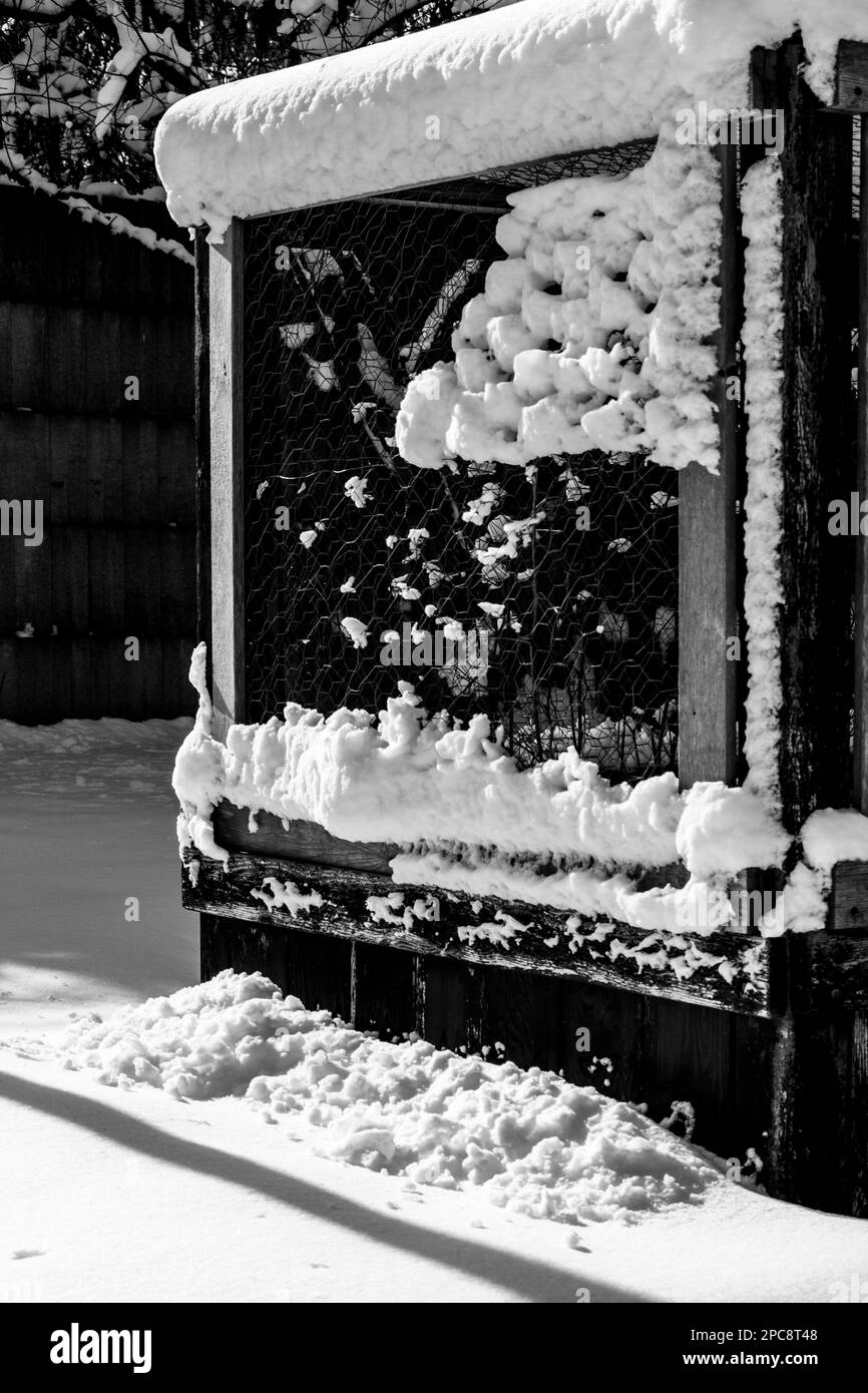 Photo en noir et blanc d'une boîte de semoir recouverte de neige Banque D'Images