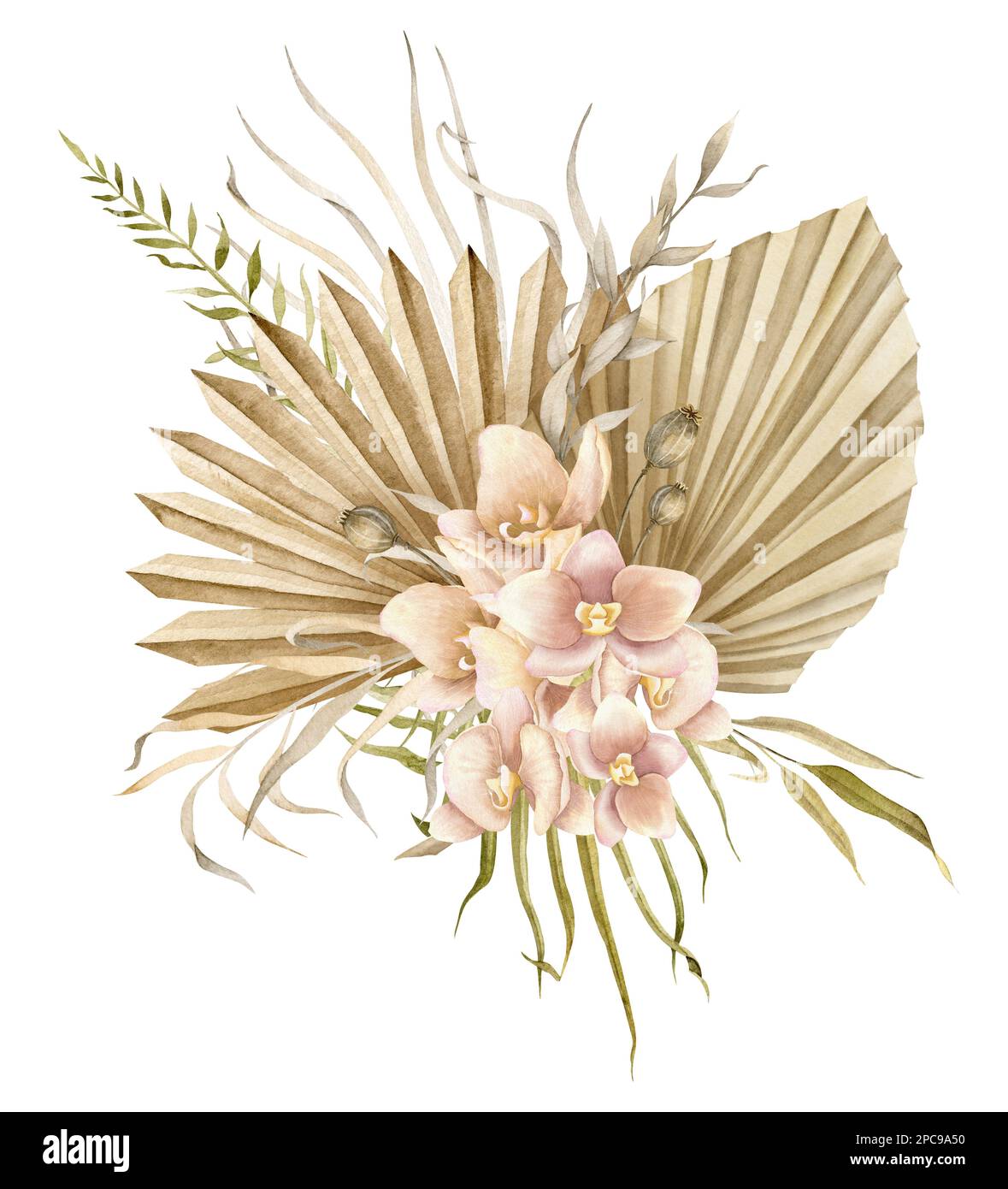 Fleurs séchées de style boho. Illustration aquarelle dessinée à la main sur un arrière-plan isolé pour les cartes de vœux ou les invitations de mariage. Bouquet crémeux bohémien avec feuilles de palmier sèches dans d orchidées rose pâle. Banque D'Images