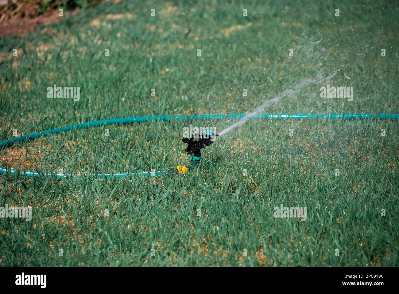 Arroseurs de travail pour l'irrigation des pelouses, Moraitika, Corfou, Grèce. Faible profondeur de champ Banque D'Images