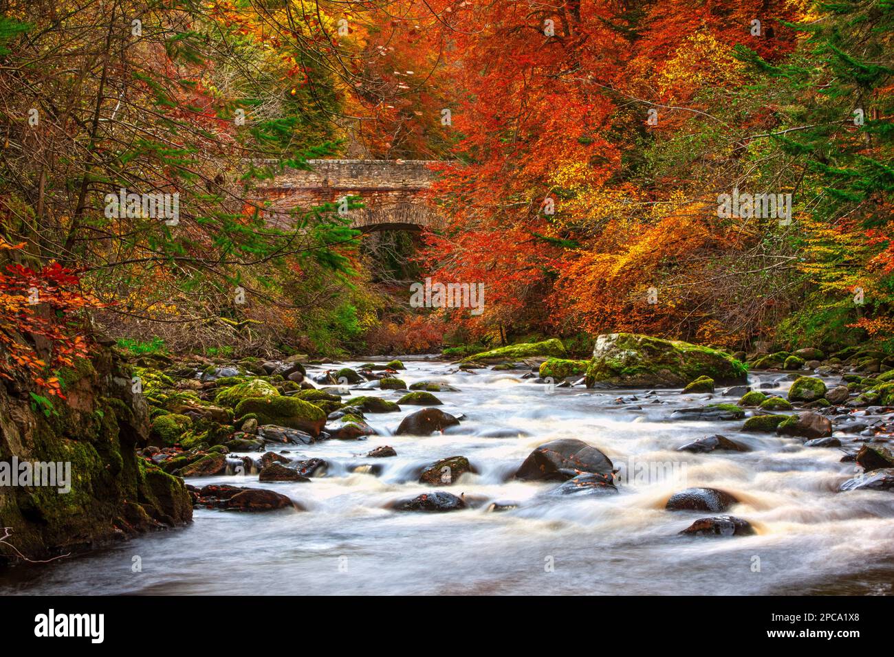 Rivière Findhorn et pont Logie en automne près de Forres, Moray, Écosse, Royaume-Uni Banque D'Images