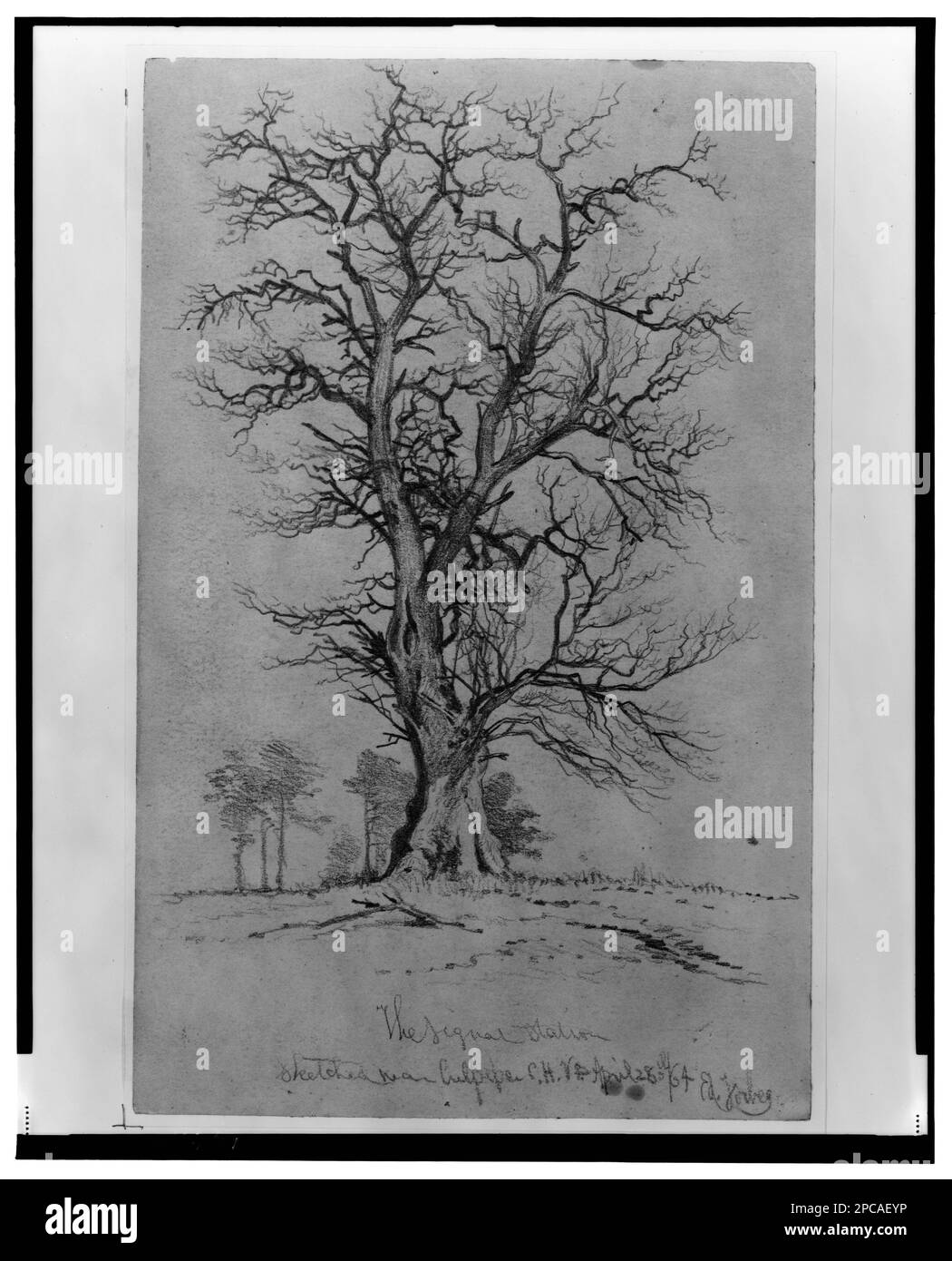 La station de signalisation esquissée près de Culpeper C.H., Virginie / Ed. Forbes. Morgan collection de dessins de la guerre civile. Trees, 1860-1870, signal stations, 1860-1870, États-Unis, Histoire, Guerre civile, 1861-1865, Communications, Union, États-Unis, Virginie, Culpeper Banque D'Images