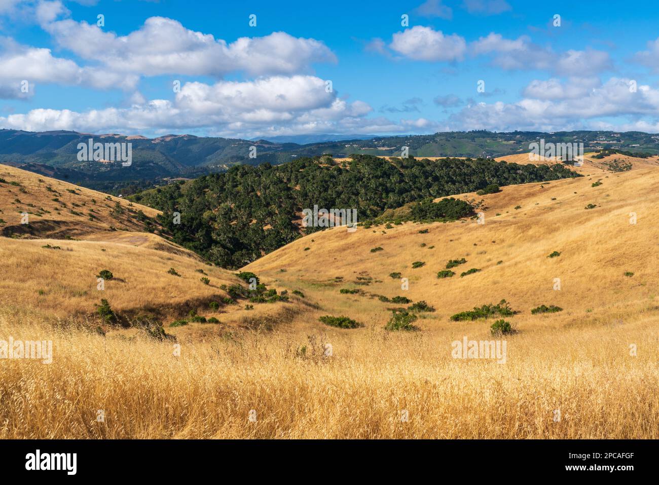 Monument national de Fort Ord, en Californie Banque D'Images