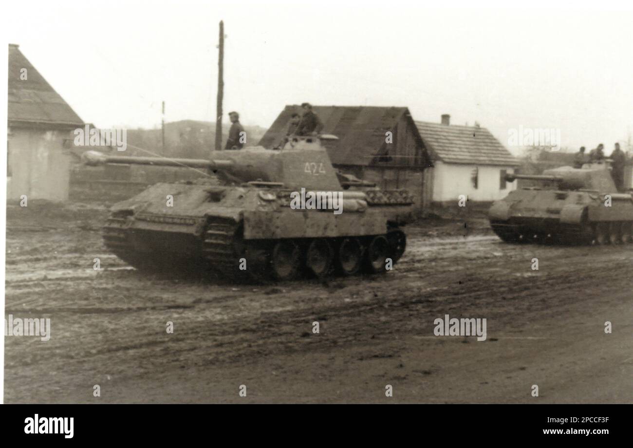 Photo de la deuxième Guerre mondiale B&W tanks Panther allemands sur le front russe 1944 Banque D'Images