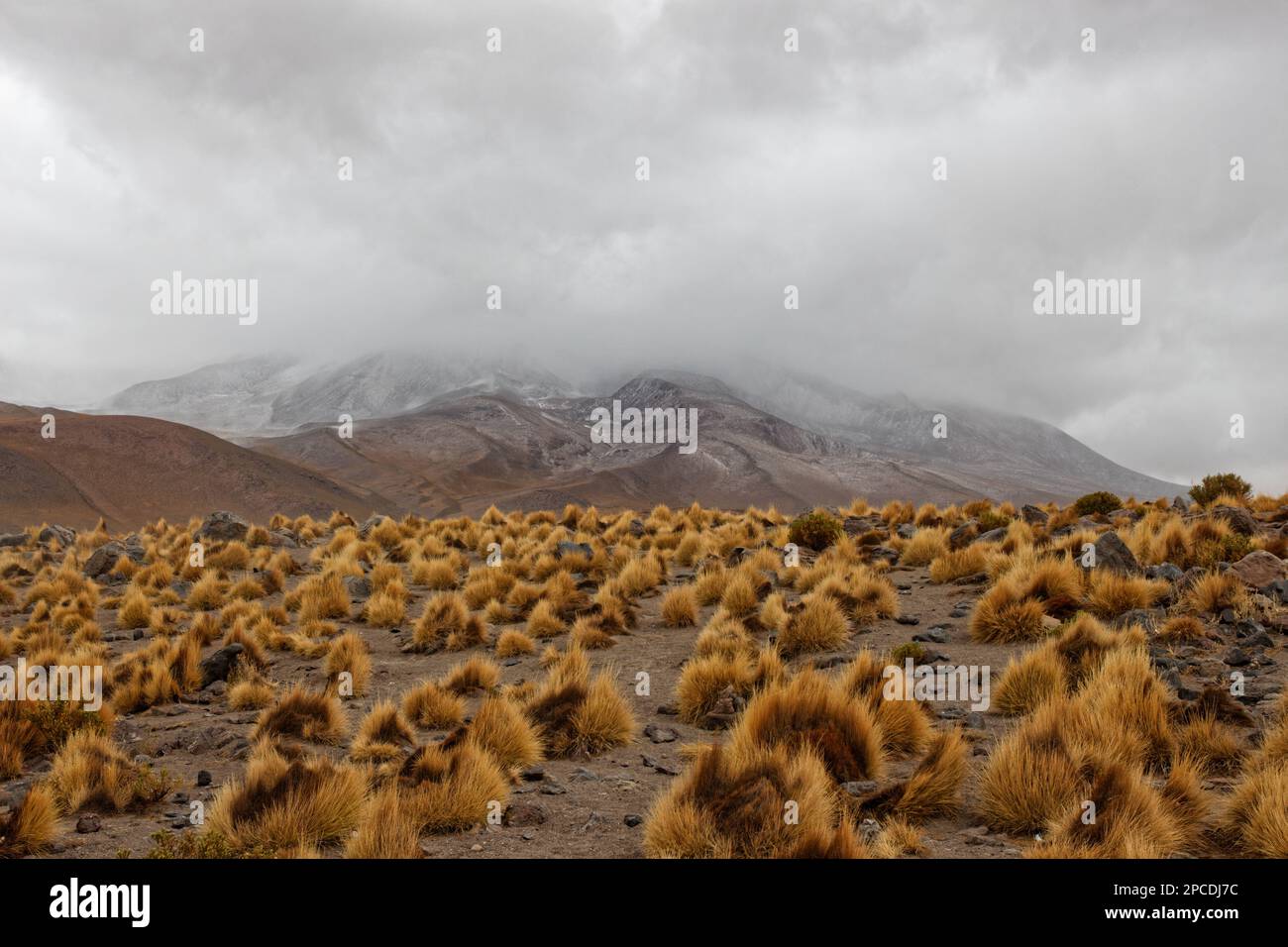 Tempête de neige à venir près de Laguna Cañapa, département de Potosí, Bolivie Banque D'Images