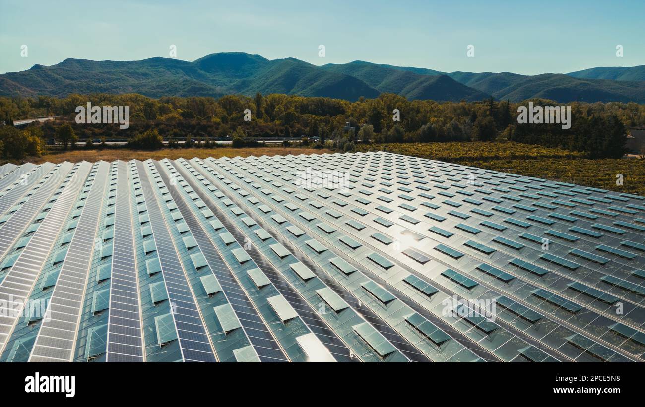 Serre pour la culture de légumes avec panneaux photovoltaïques montés Banque D'Images