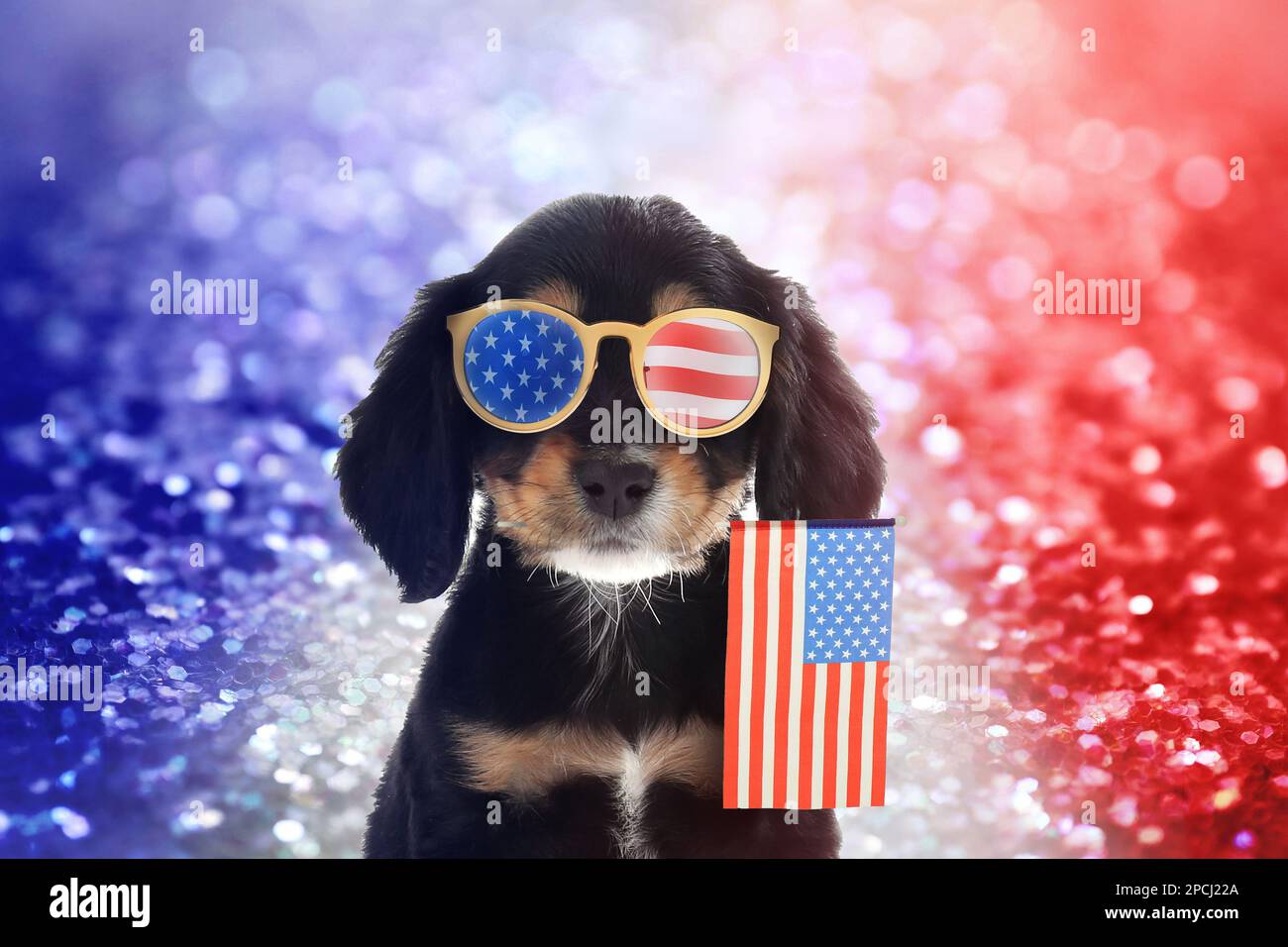 4th juillet - jour de l'indépendance des États-Unis. Chien mignon avec lunettes de soleil et drapeau américain sur fond de fête brillant Banque D'Images