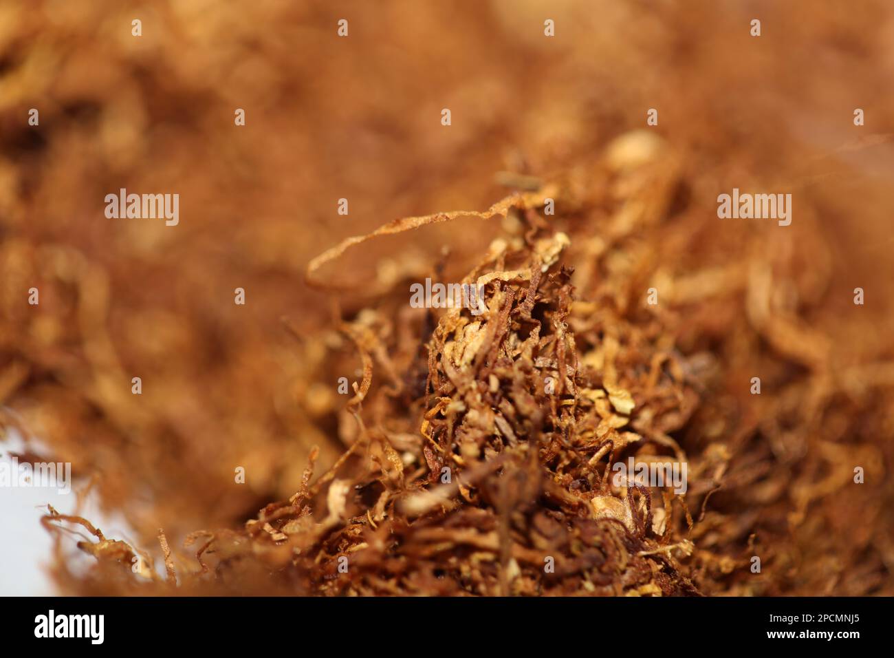 Tabac à rouler gros plan grande taille haute qualité photos de stock fumer des cigarettes et des joints faits soi-même Banque D'Images