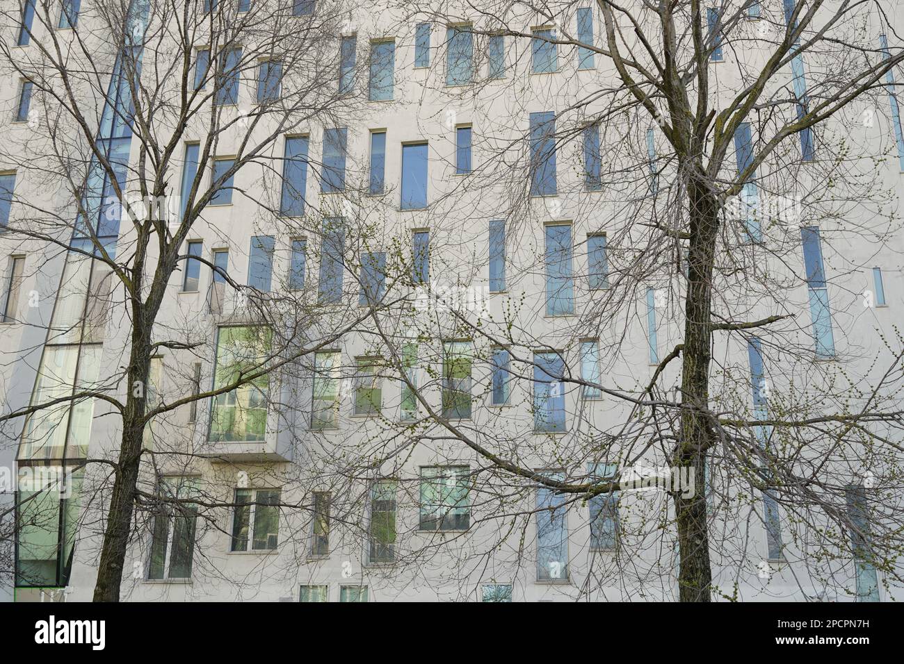 Là où l'hiver est à la fin la couleur du printemps sont en train de remuer , Milan Oueskupes Banque D'Images