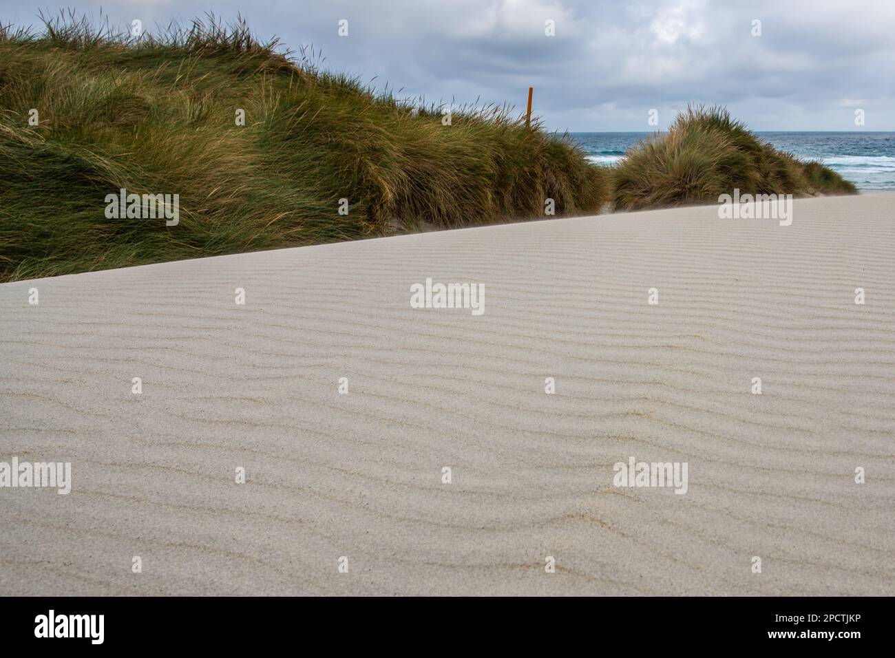 Dune de sable blanc et les motifs des ondulations dans le sable avec l'océan pacifique derrière, une scène minimaliste à Aotearoa Nouvelle-Zélande. Banque D'Images