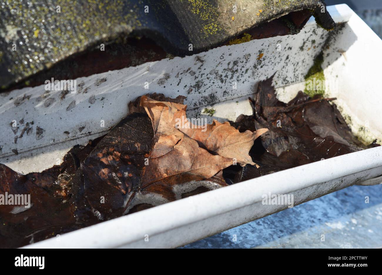 Nettoyage de la gouttière des feuilles et de la saleté. Nettoyage de la gouttière de toit en gros plan. Nettoyage des gouttières. Banque D'Images