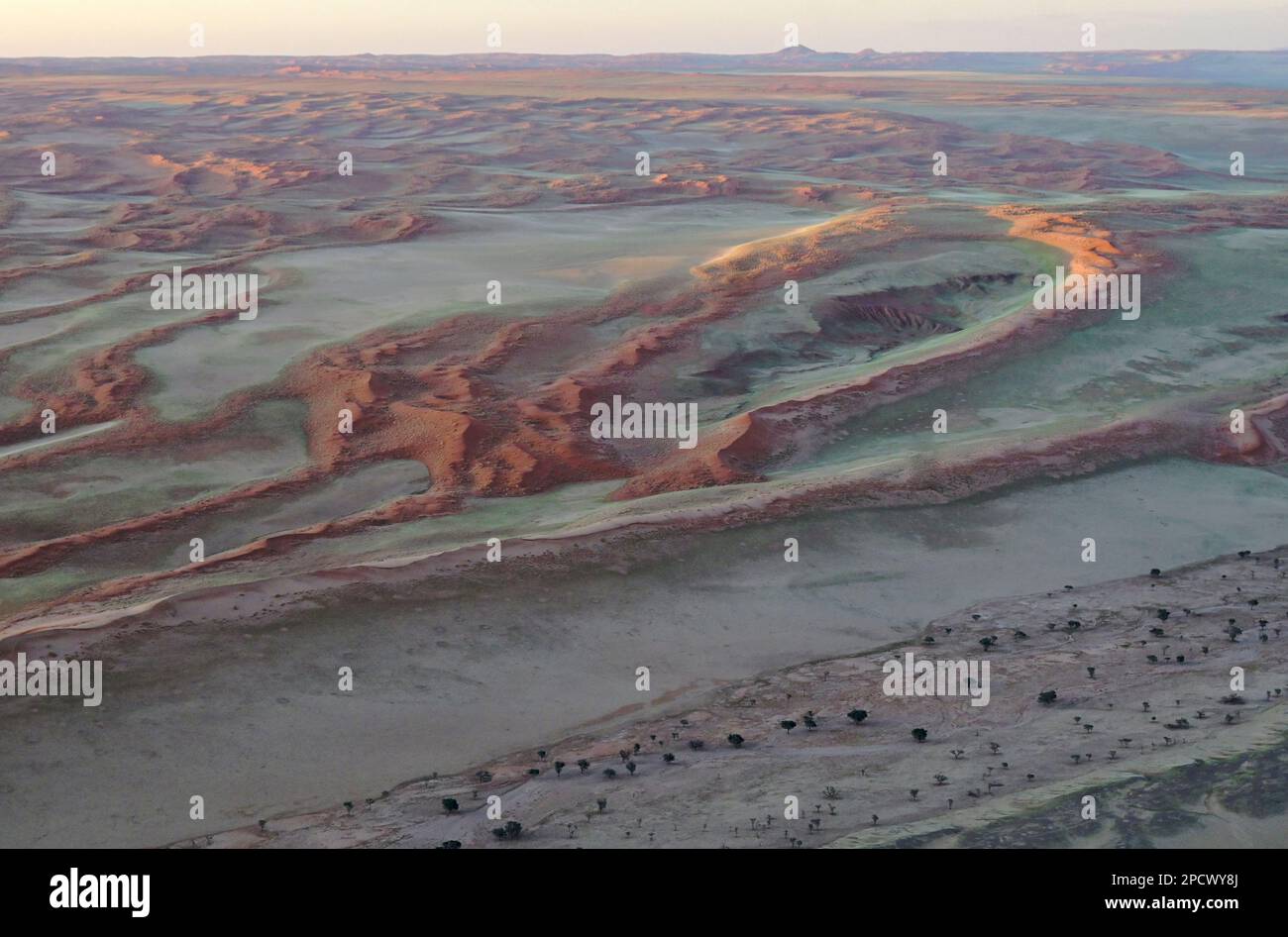 Désert du Namib, près de Sesriem et de Sossusvlei, Namibie, Afrique Banque D'Images