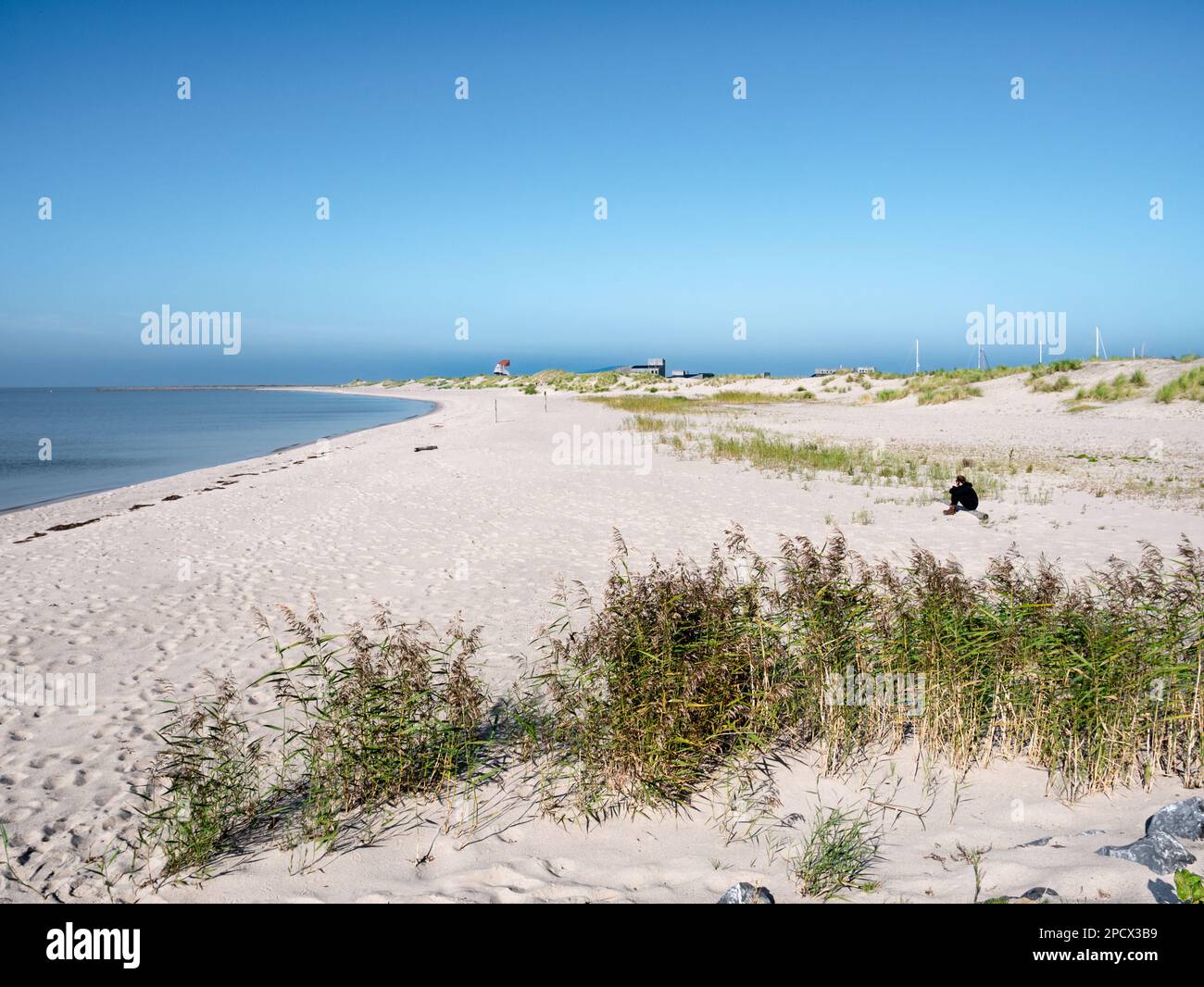 Plage et tour d'observation sur la côte de l'île de Marker Wadden dans le lac Markermeer, pays-Bas Banque D'Images