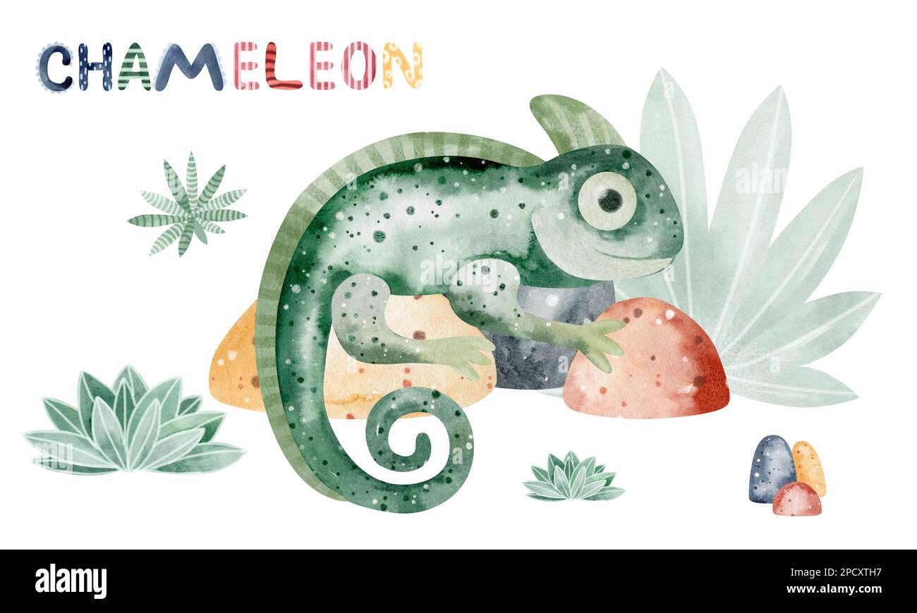 Illustration aquarelle d'un caméléon . Illustration d'un animal pour enfants. Carte d'apprentissage. Banque D'Images