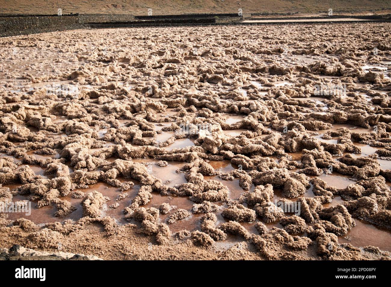 Évaporés amas de résidus de cristaux de sel salinas de janubio sel plats Lanzarote, îles Canaries, Espagne ces cristaux sont en hiver et Banque D'Images