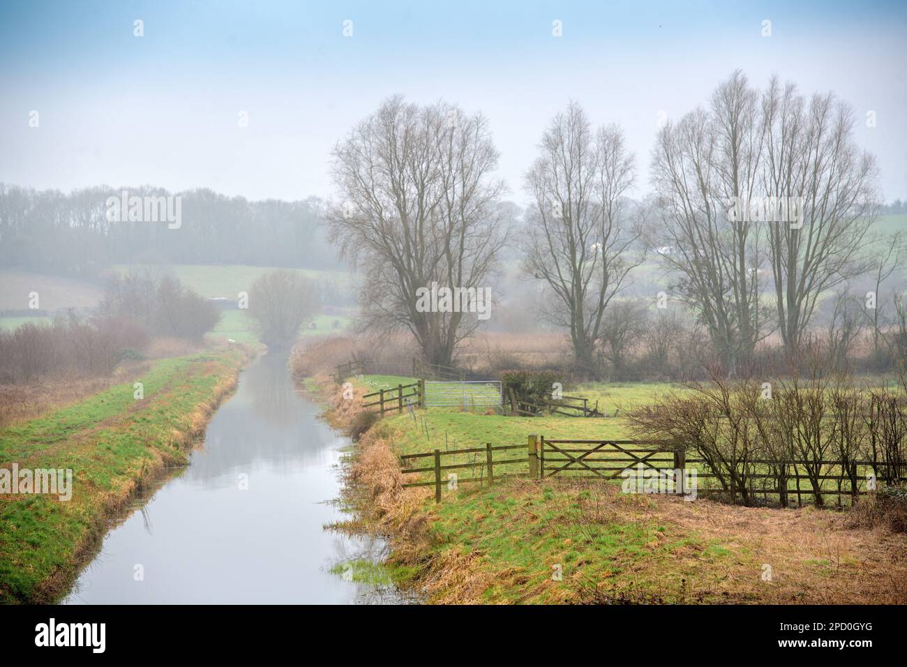RSPB Ham Wall à Meare près de Glastonbury, Royaume-Uni Banque D'Images