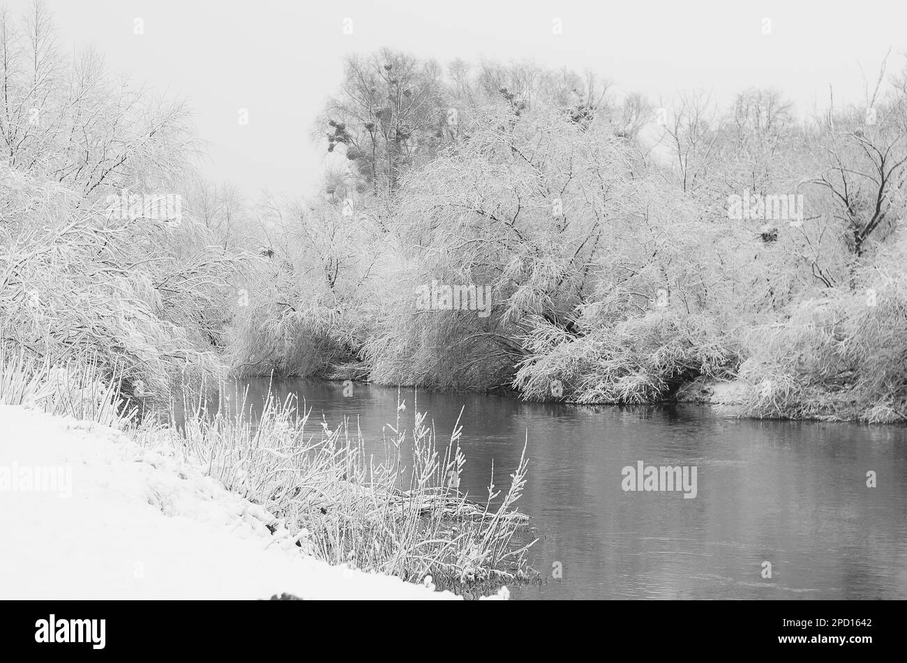 paysage de neige hiver. Banque D'Images