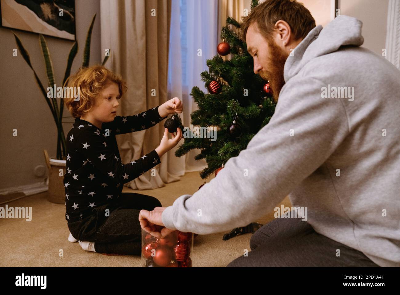 Un père et un fils de gingembre en tenue décontractée décorant l'arbre de Noël dans un salon confortable Banque D'Images