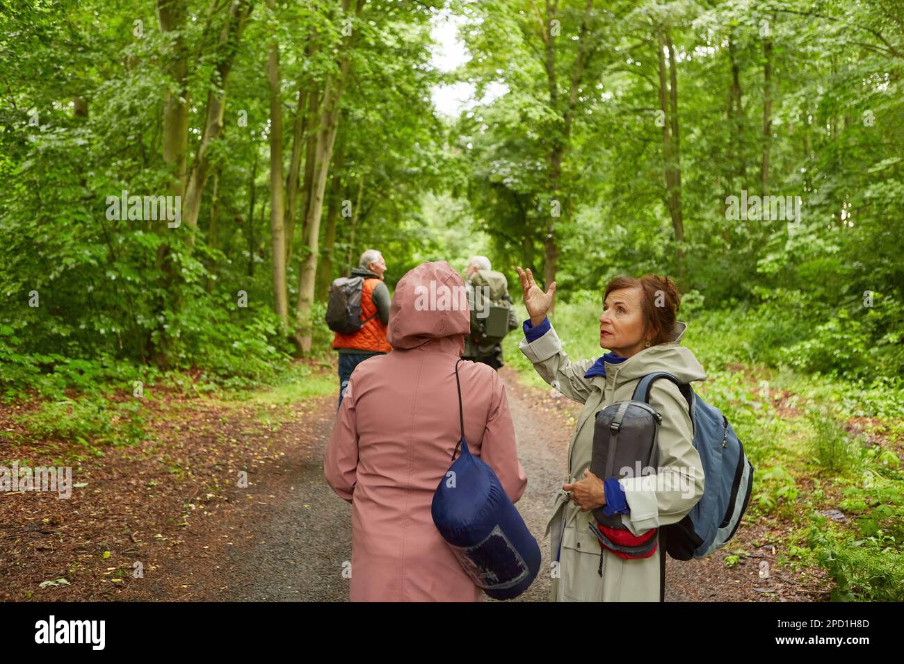 Des femmes âgées avec des sacs à dos marchant derrière des amis mâles tout en faisant de la randonnée dans la forêt Banque D'Images