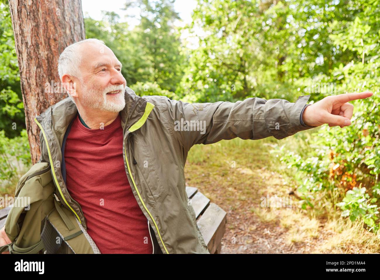 Homme âgé souriant avec sac à dos pointant tout en explorant la forêt pendant les vacances d'été Banque D'Images