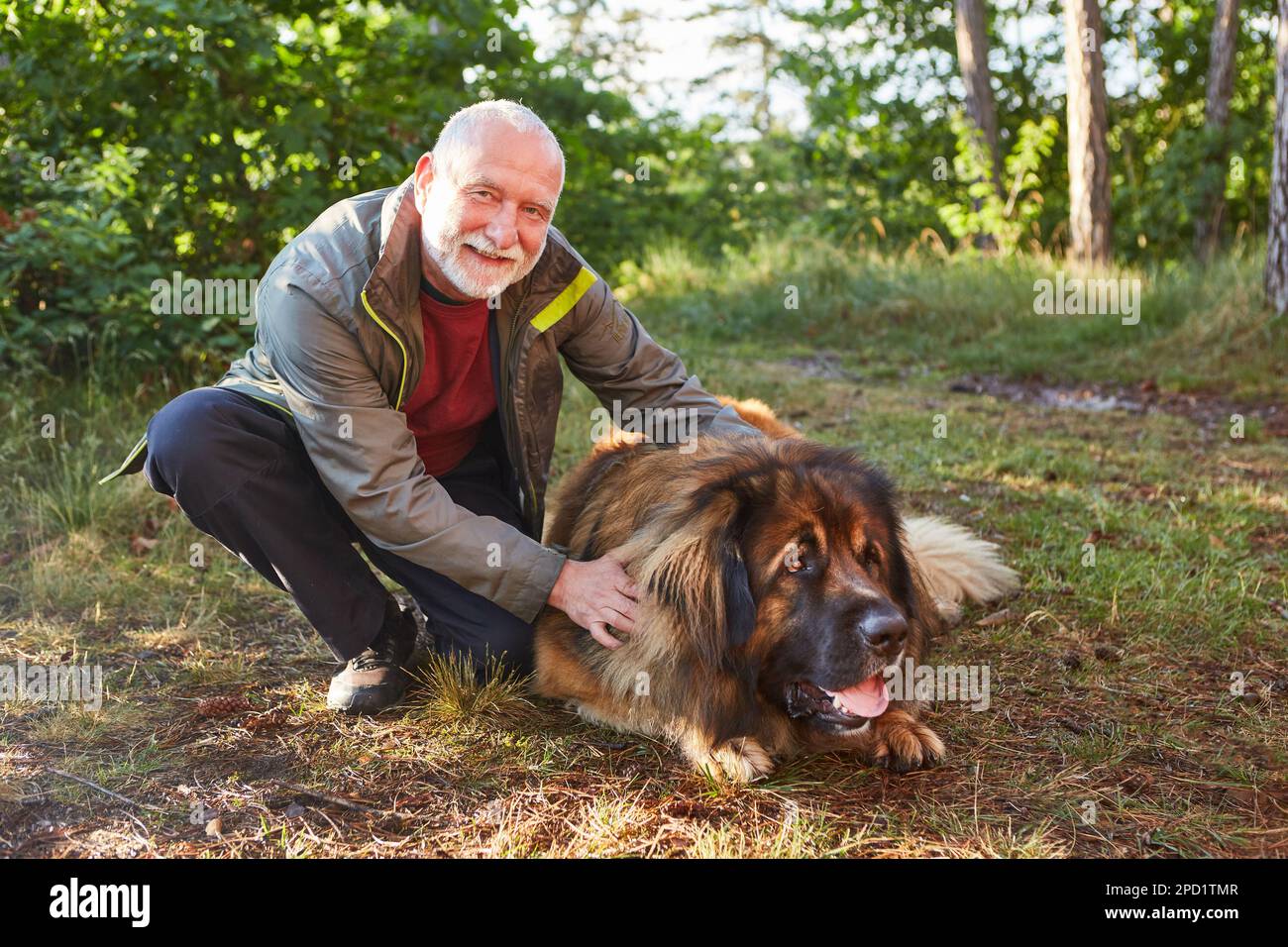 Portrait d'un homme heureux et âgé, chien de chasse couché sur terre en forêt Banque D'Images