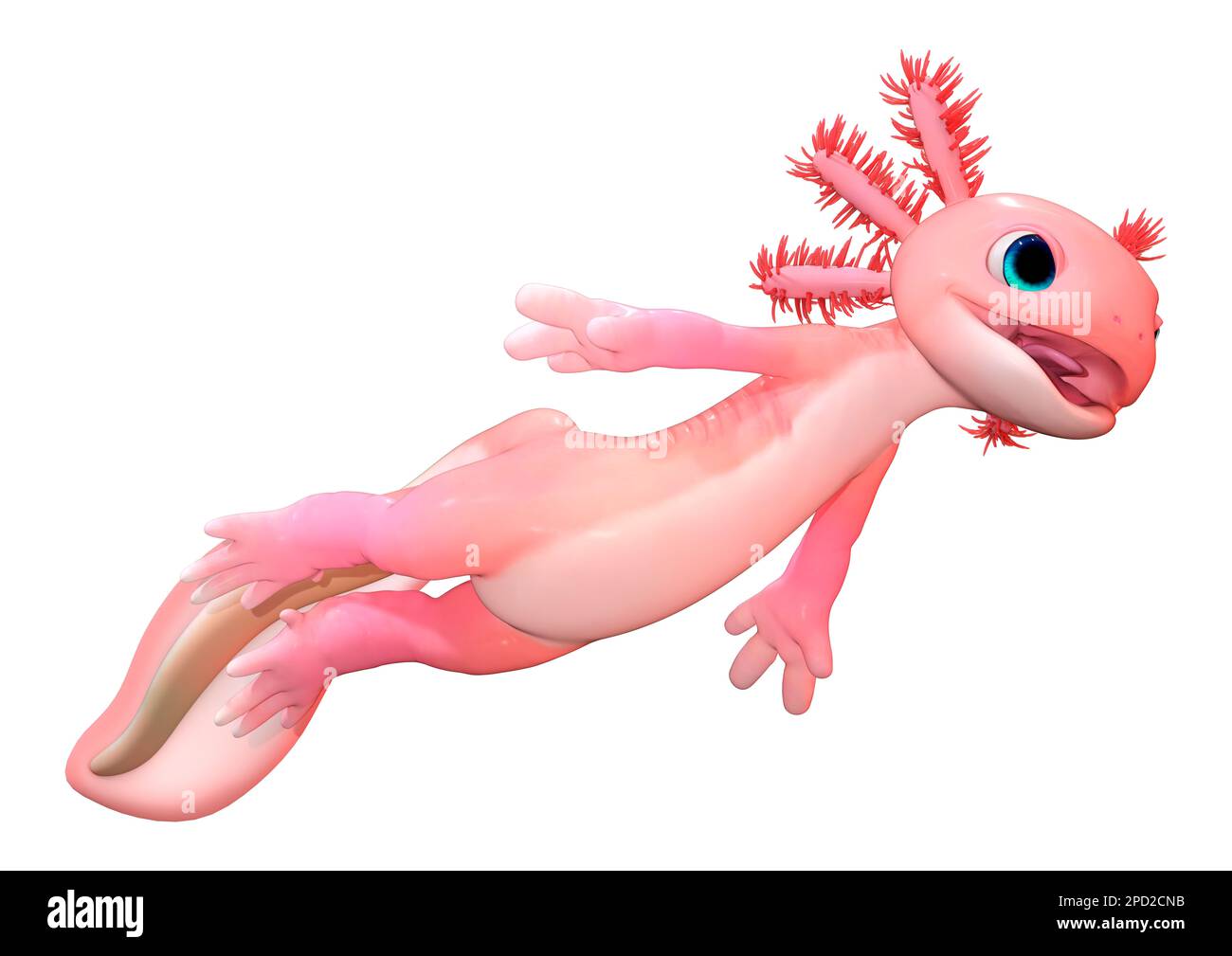 Axolotl Kawaii Banque De Photographies Et D images Haute R solution axolotl-kawaii-banque-de-photographies-et-d-images-haute-r-solution