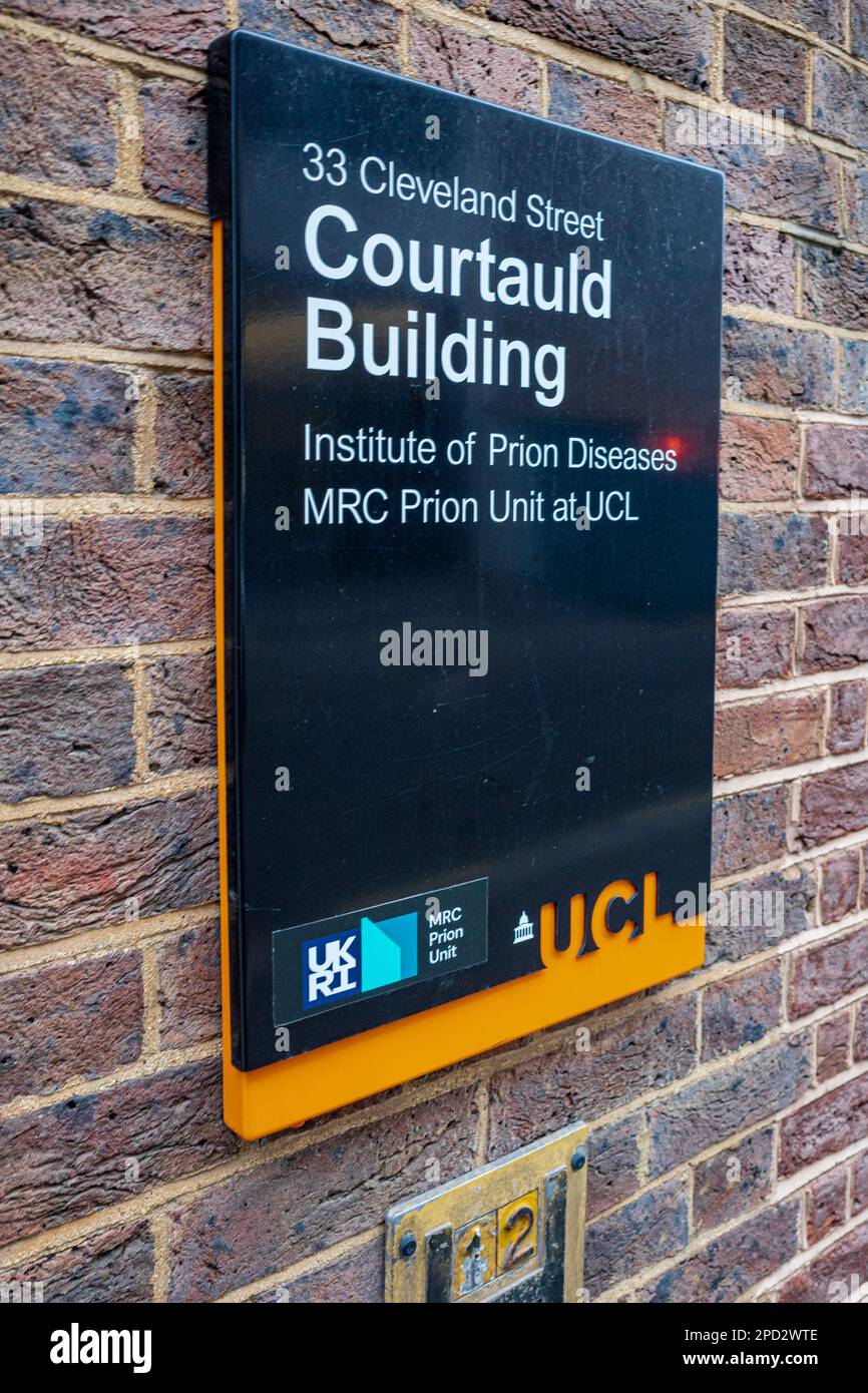 L'édifice Courtauld de l'UCL abrite l'unité de prion de l'Institut des maladies à prions et de la MRC. Anciennement l'Institut de biochimie Samuel Augustine Courtauld. Banque D'Images