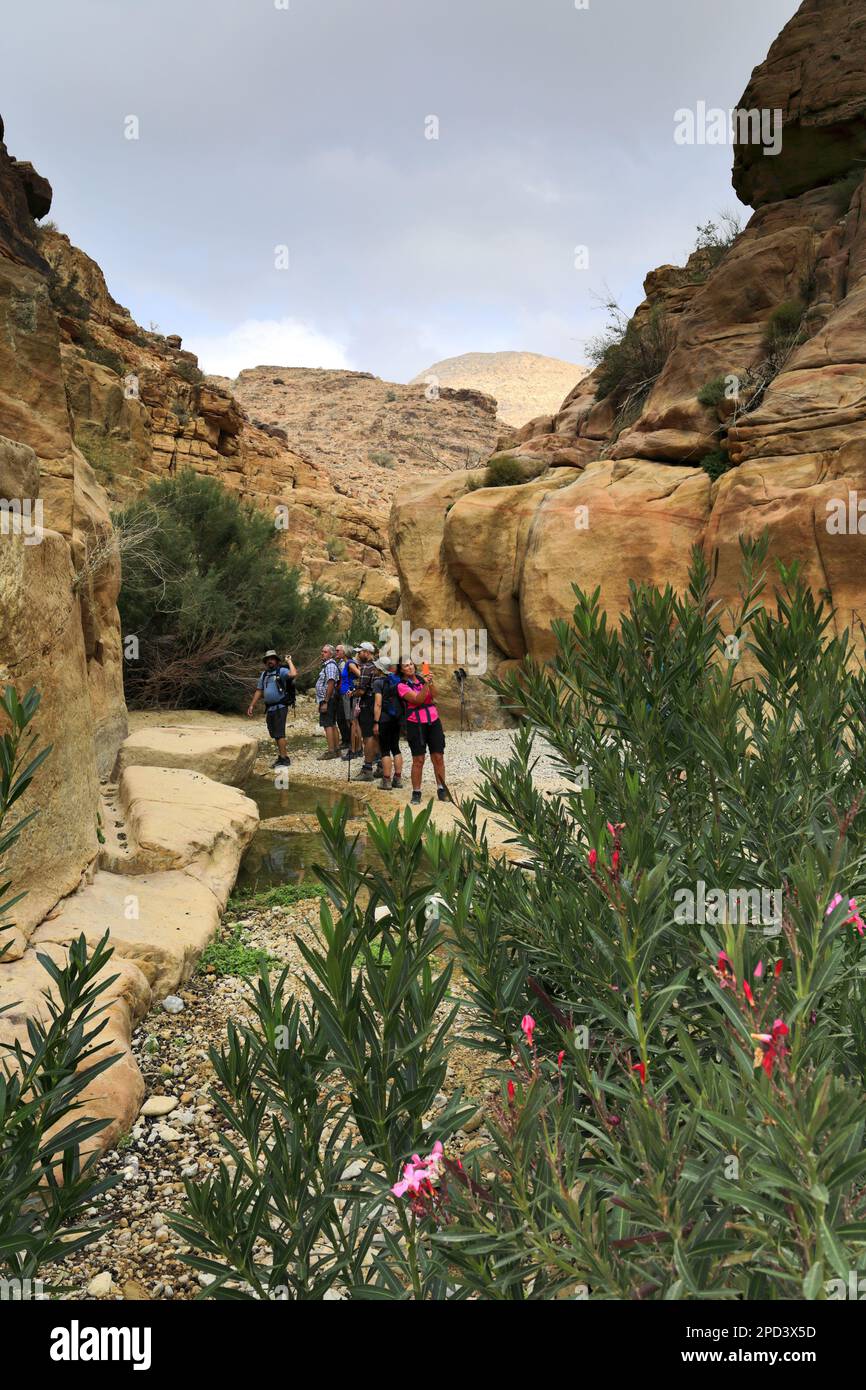 Marcheurs sur le sentier du Jourdain à Wadi Feid, Jabal Fed, région d'Al-Shalat en Jordanie, Moyen-Orient Banque D'Images