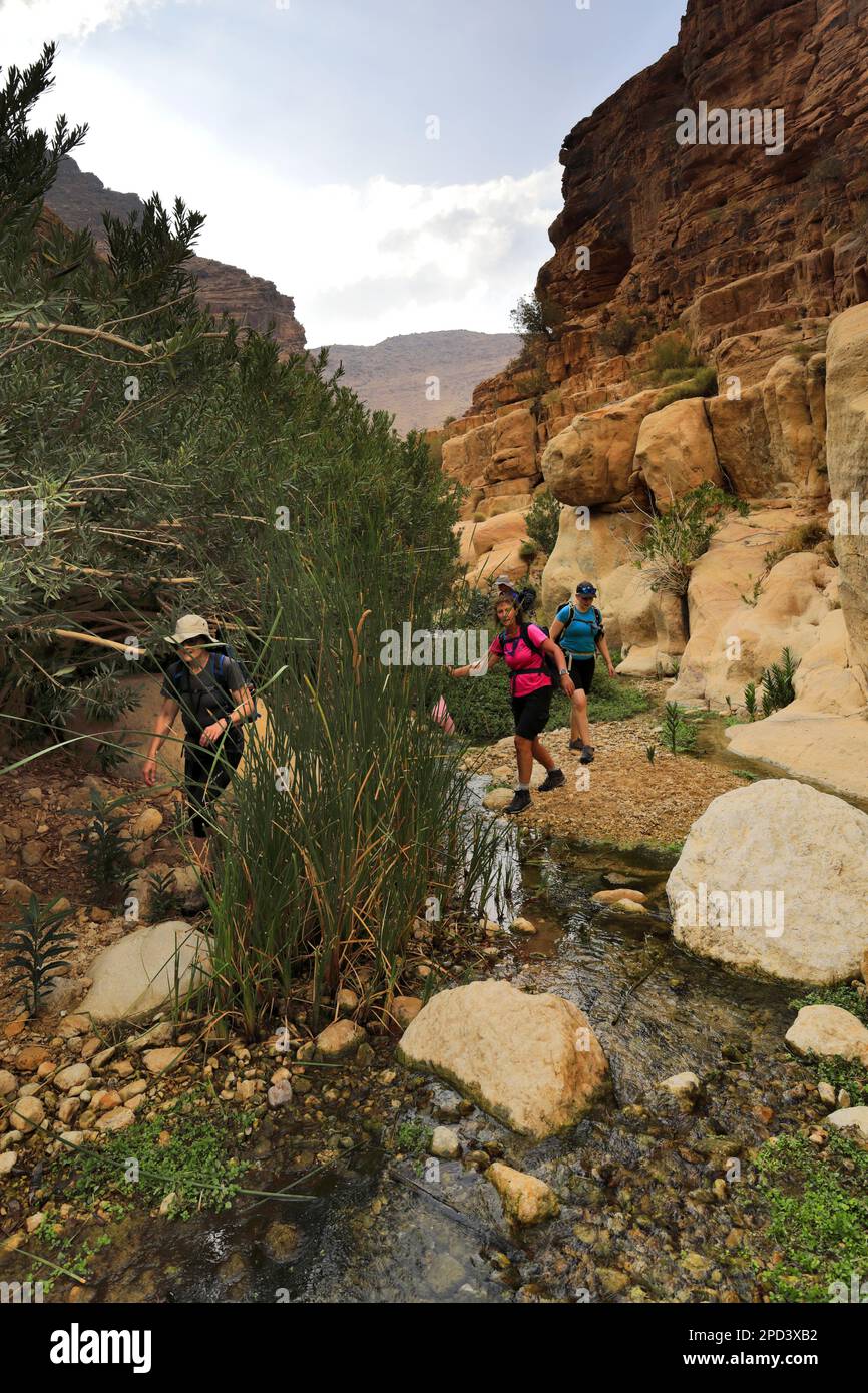 Marcheurs sur le sentier du Jourdain à Wadi Feid, Jabal Fed, région d'Al-Shalat en Jordanie, Moyen-Orient Banque D'Images