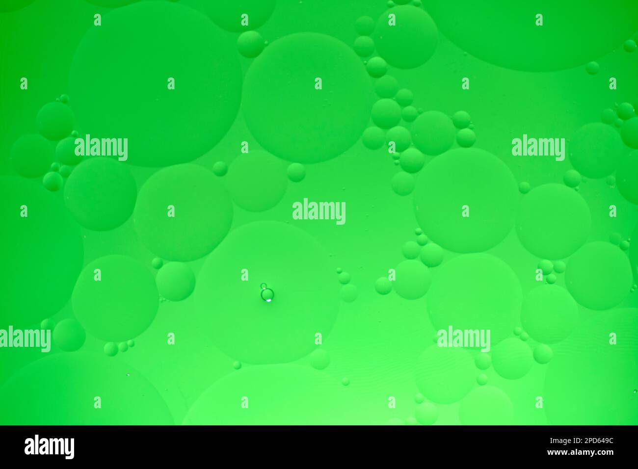 Arrière-plan abstrait avec cercles d'huile verts et dégradé. Banque D'Images