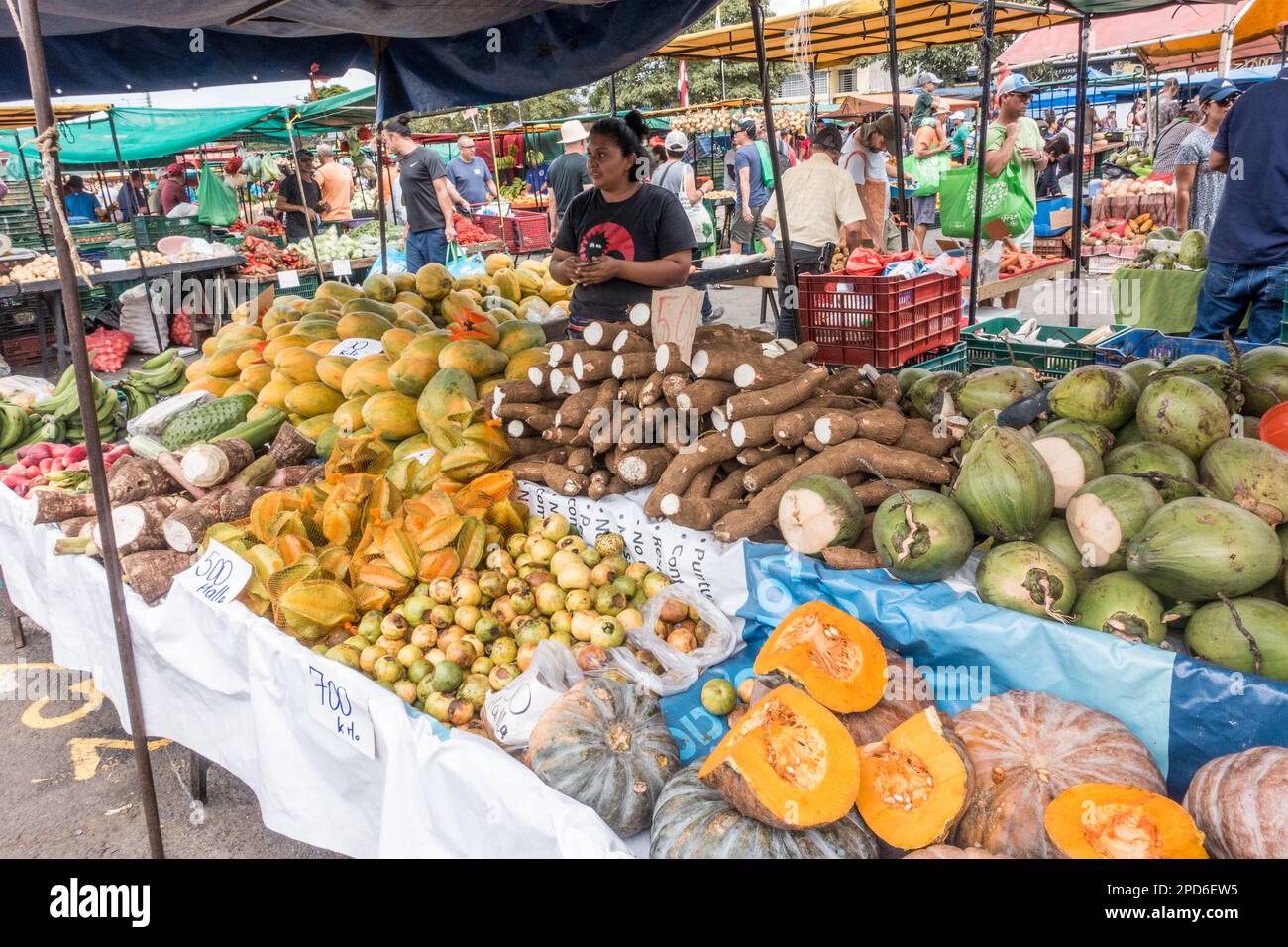 Jeune femme à son stand avec de nombreuses variétés de fruits et