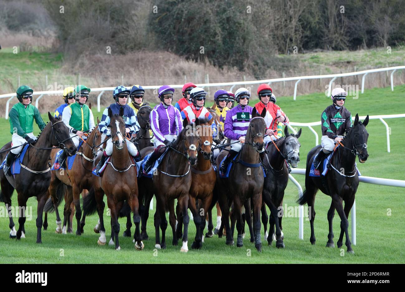 Cheltenham Festival racecourse 14th Mars 2023 - les chevaux de course marchent vers la ligne de départ de la première course le jour d'ouverture du Festival Banque D'Images