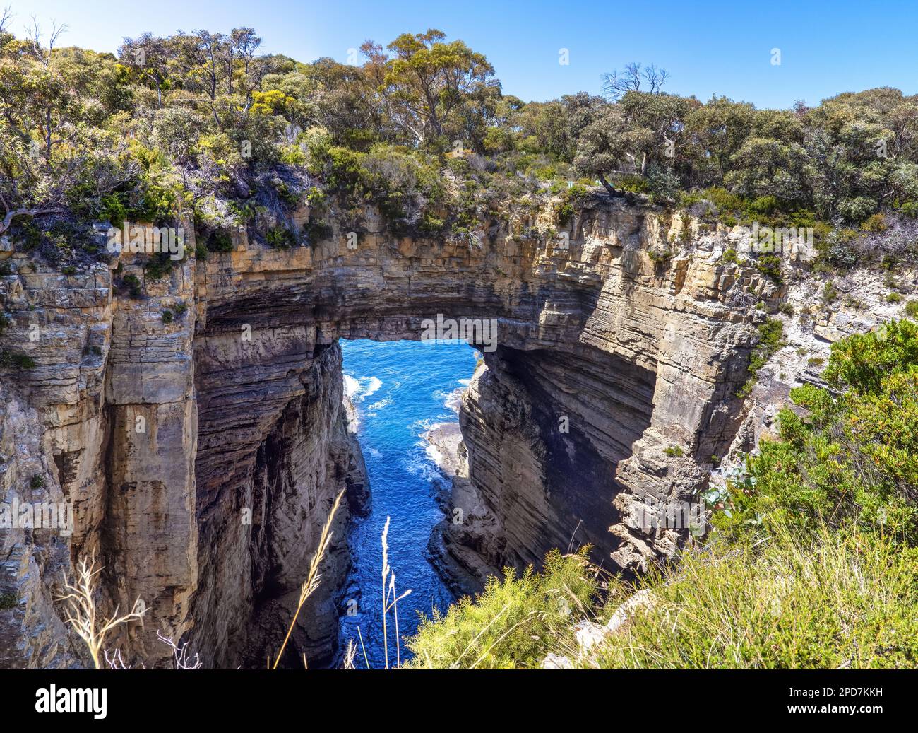 Un panorama de la Tasman ou Tasmans Arch, un pont naturel de roche au-dessus de la mer à Eaglehawk Neck, près de Port Arthur, Tasmanie. Cette imposante arche est une crique Banque D'Images