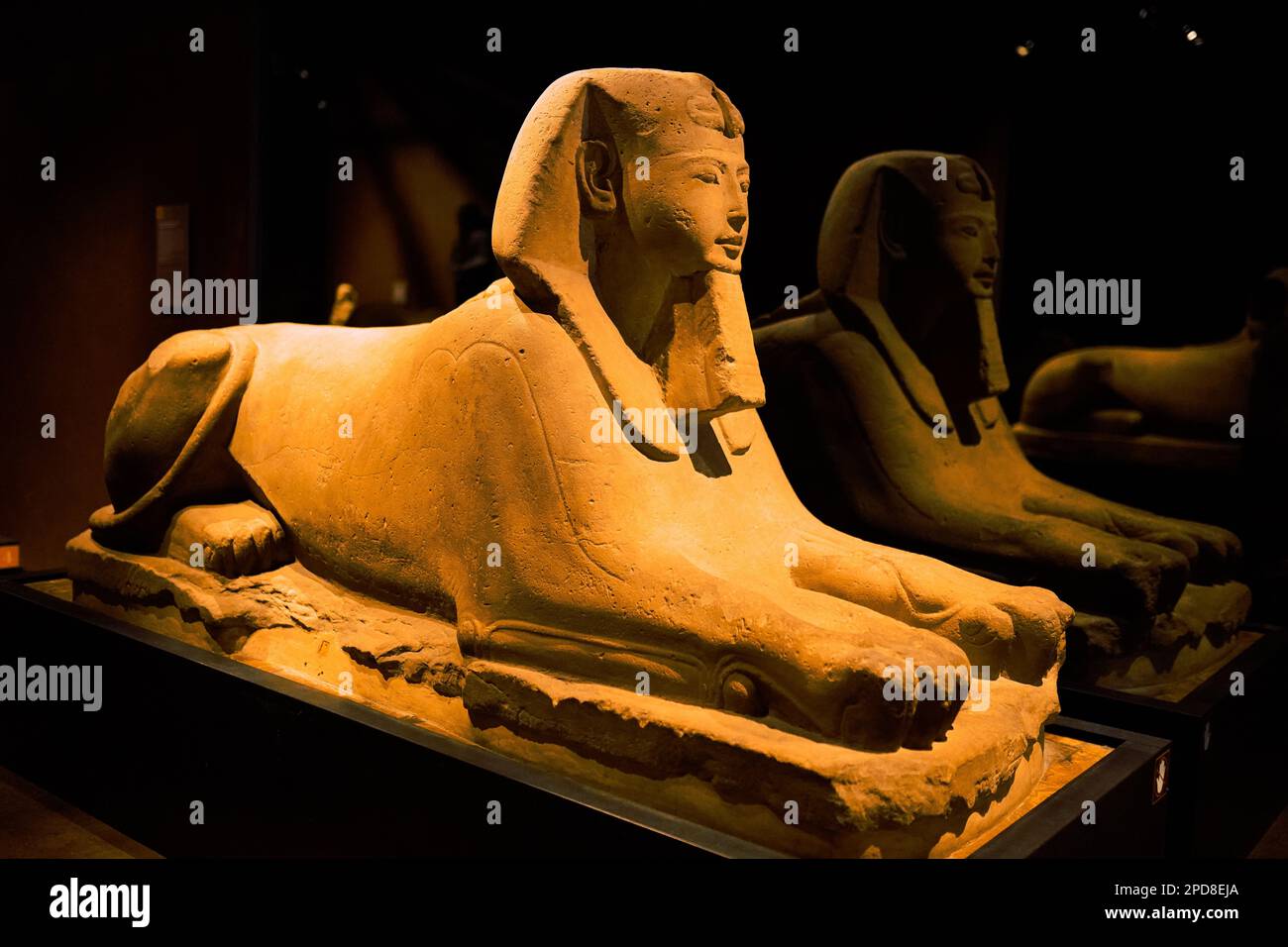 Turin, Italie - 21 juin 2022 : exposition de momies, d'objets et de trouvailles égyptiennes au Musée égyptien de Turin. Banque D'Images