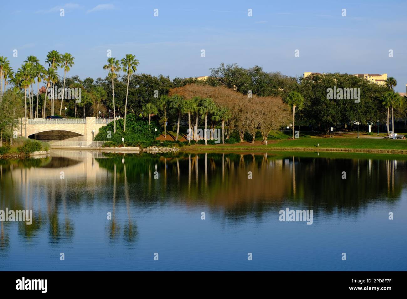 Le lac reflète des palmiers et un pont en pierre en Floride, aux États-Unis Banque D'Images