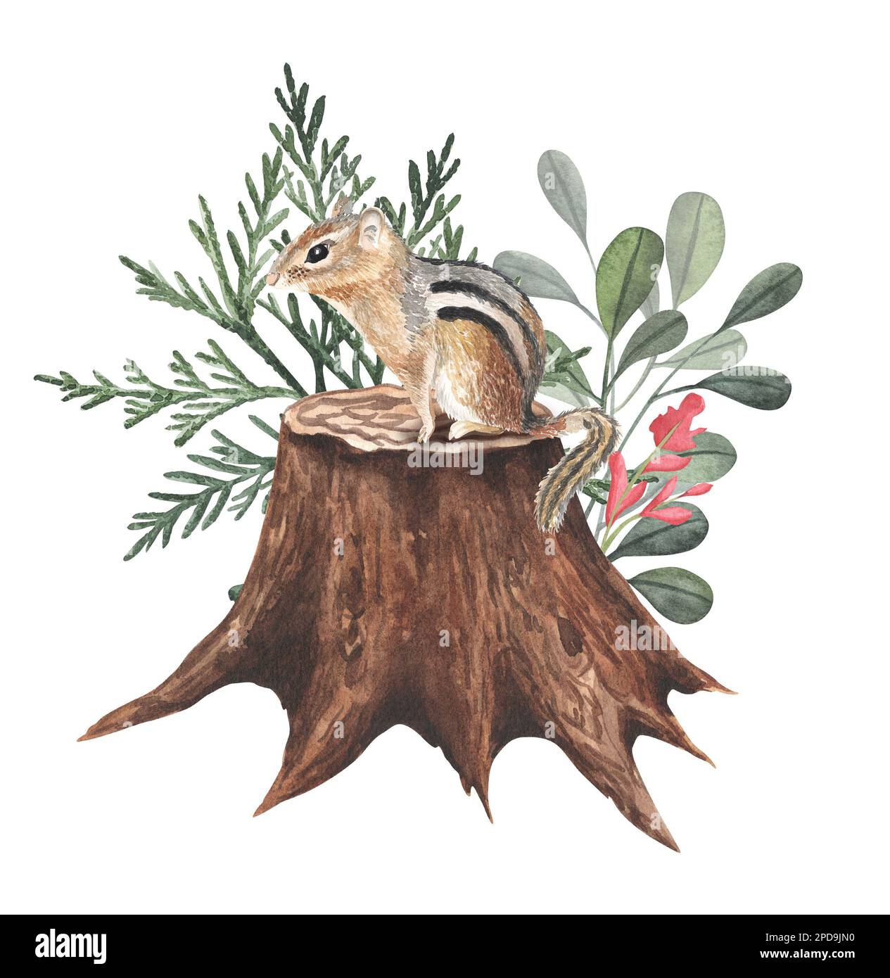 Forêt en aquarelle illustration souche et chipmunk dessiné à la main. Banque D'Images