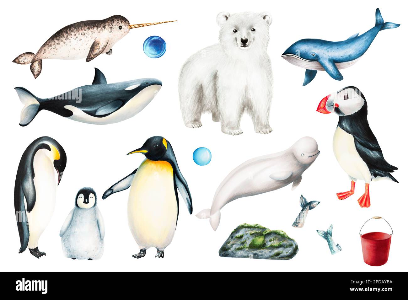 Ensemble d'aquarelles d'animaux de l'Arctique et de l'Antarctique isolés sur fond blanc. Un mammifère marin réaliste peint à la main inclut une famille de pingouins de roi Banque D'Images