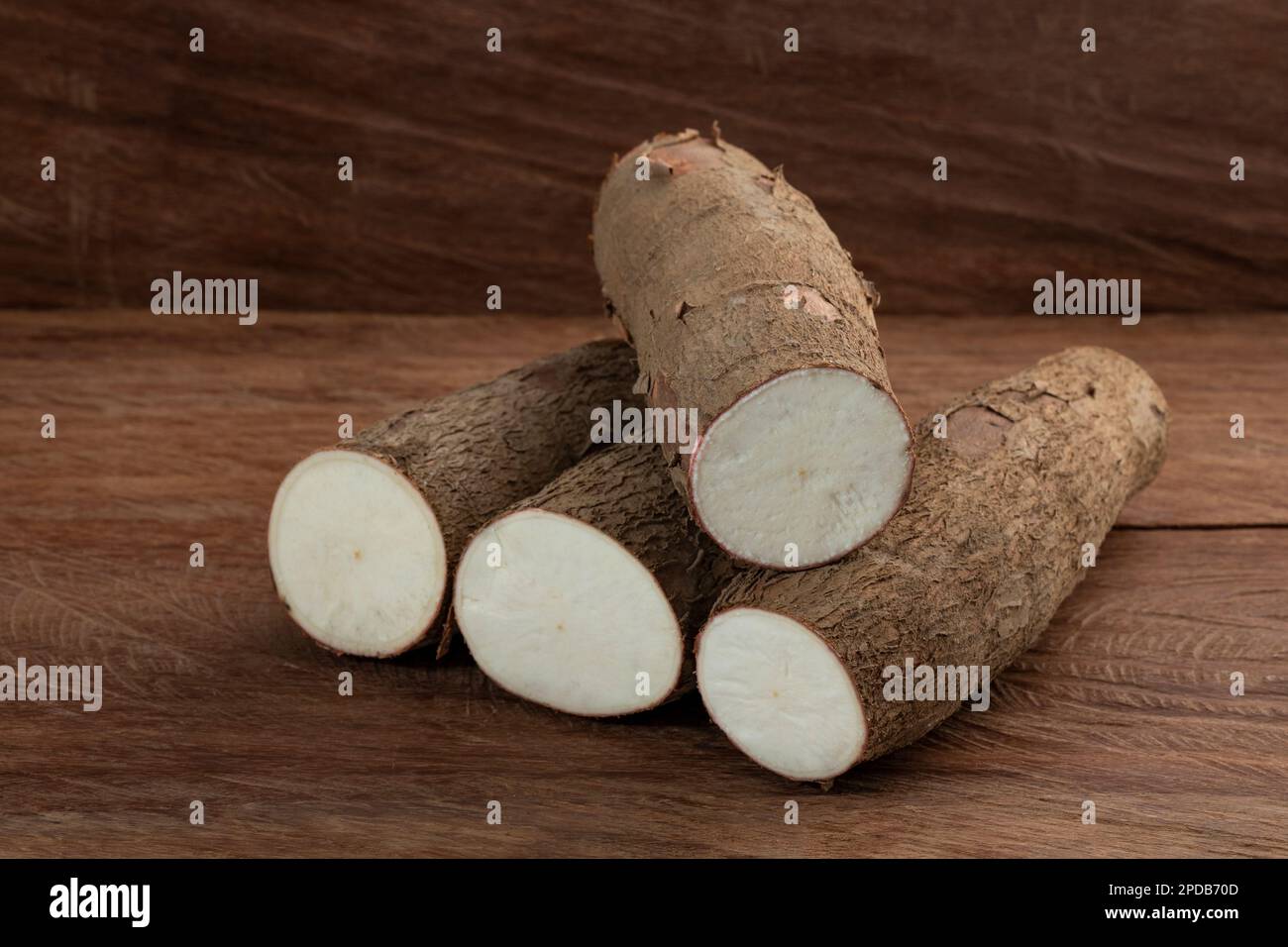 Manihot esculenta - racine de manioc biologique fraîche Banque D'Images