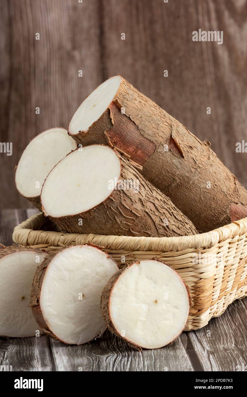 Manihot esculenta - racine de manioc biologique fraîche Banque D'Images