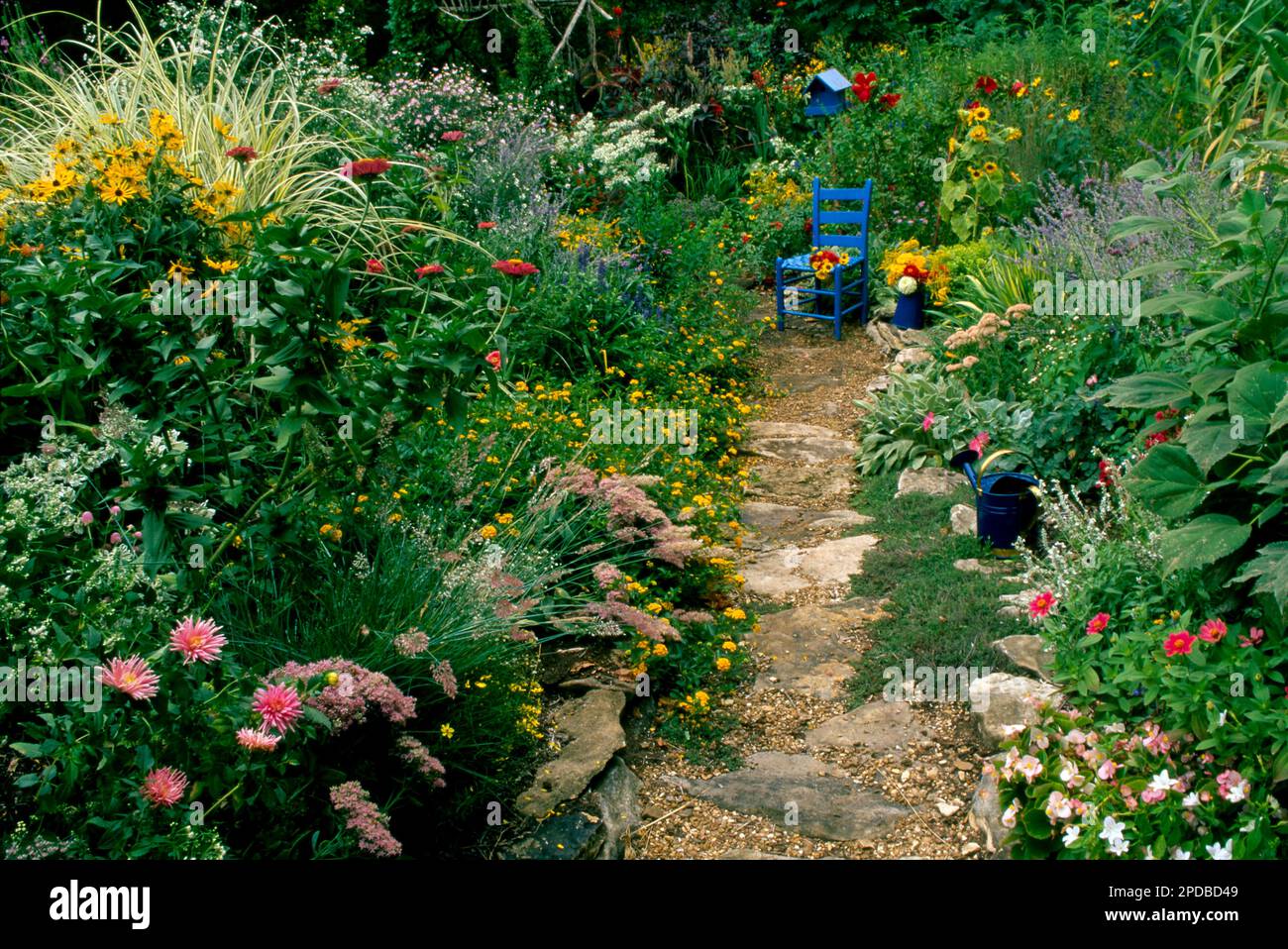 Sentier coloré en fleurs en pierres à travers le jardin de fleurs jusqu'à une chaise peinte en bleu et une maison d'oiseaux dans un jardin privé, Missouri, États-Unis Banque D'Images