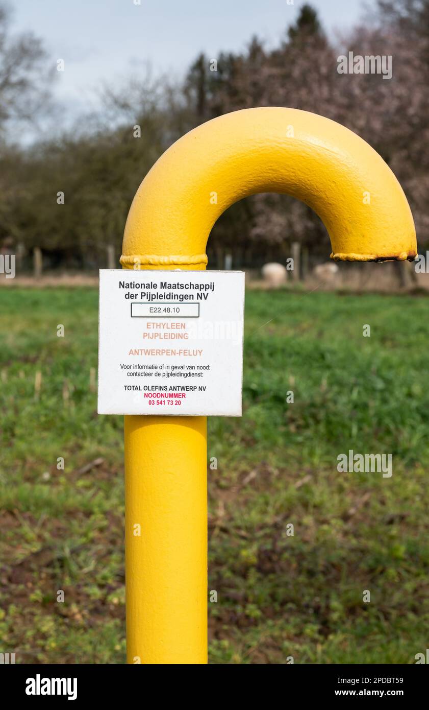 Ternat, Brabant flamand, Belgique, 11 mars 2023 - tuyau d'huile jaune à l'éthylène de la société Total Olefins Feluy Banque D'Images