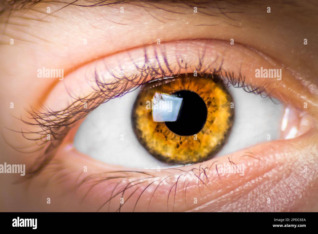 Gros plan extrême l'œil d'une fille qui regarde la caméra Banque D'Images